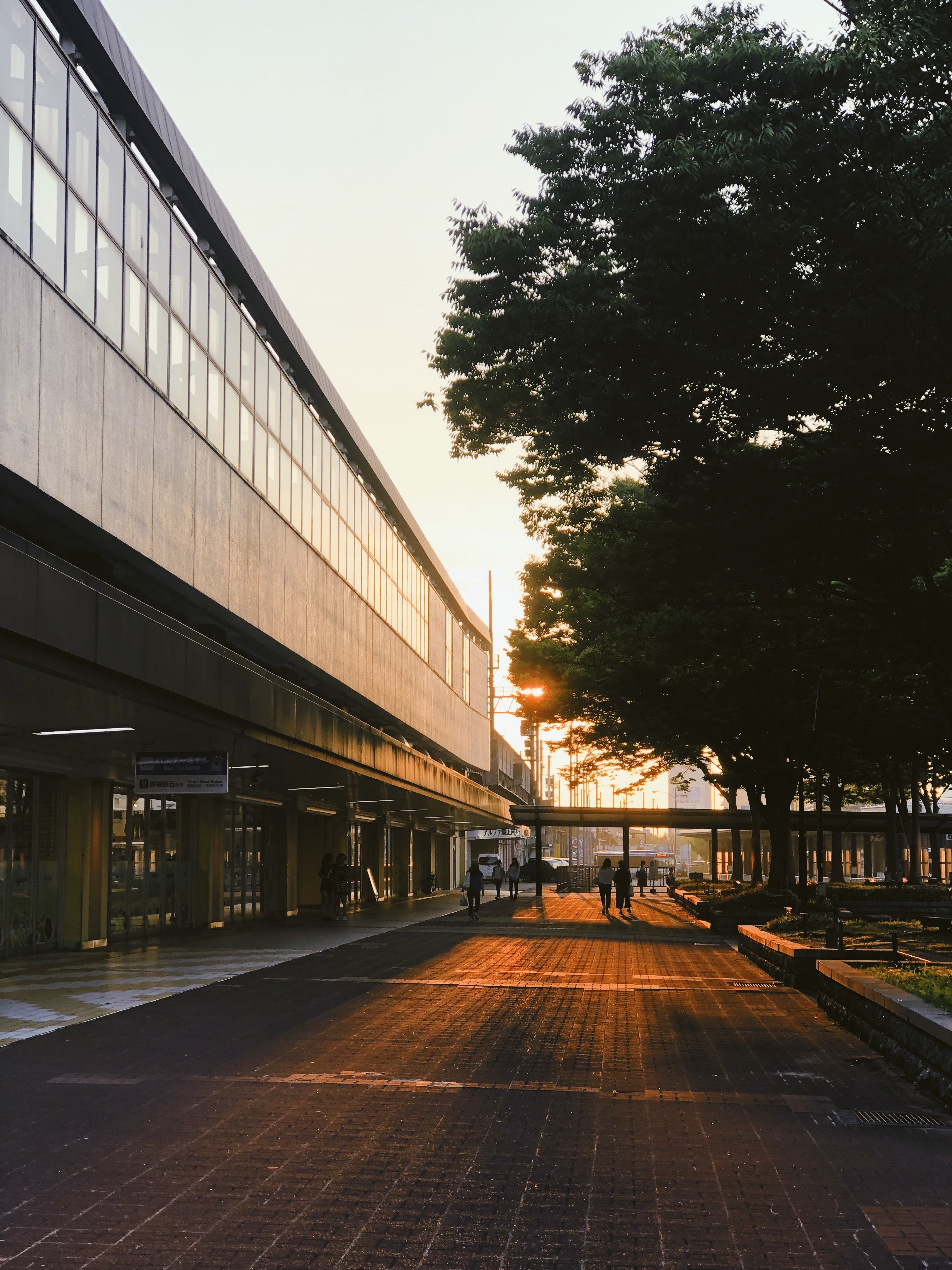 Stunning Bus Terminal in Early Morning Light – Professional Photo