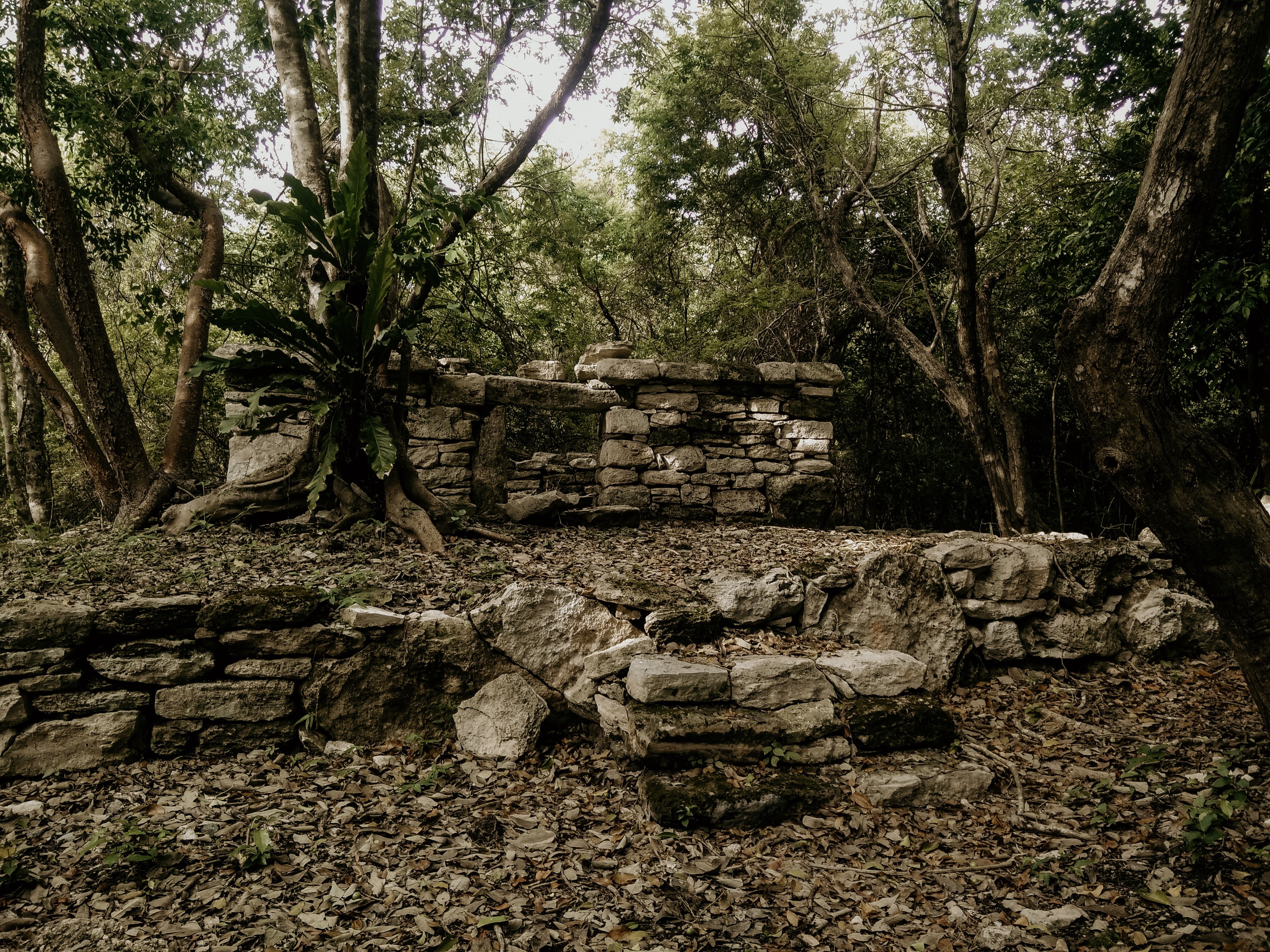 Stunning Photo of Ancient Mayan Ruins in Cancun, Mexico
