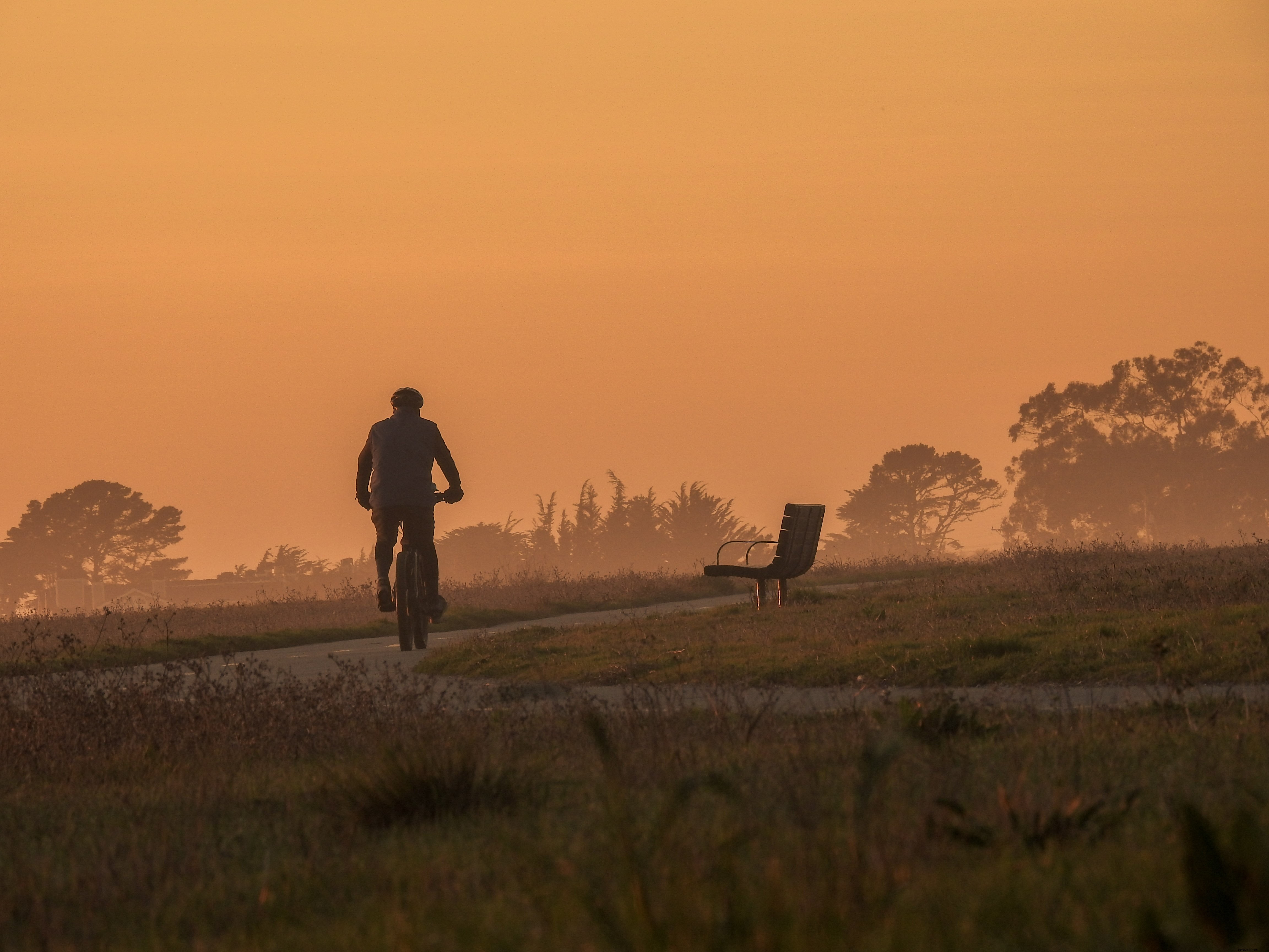 Serene Cyclist Riding Bike at Dusk: Stunning Twilight Photo