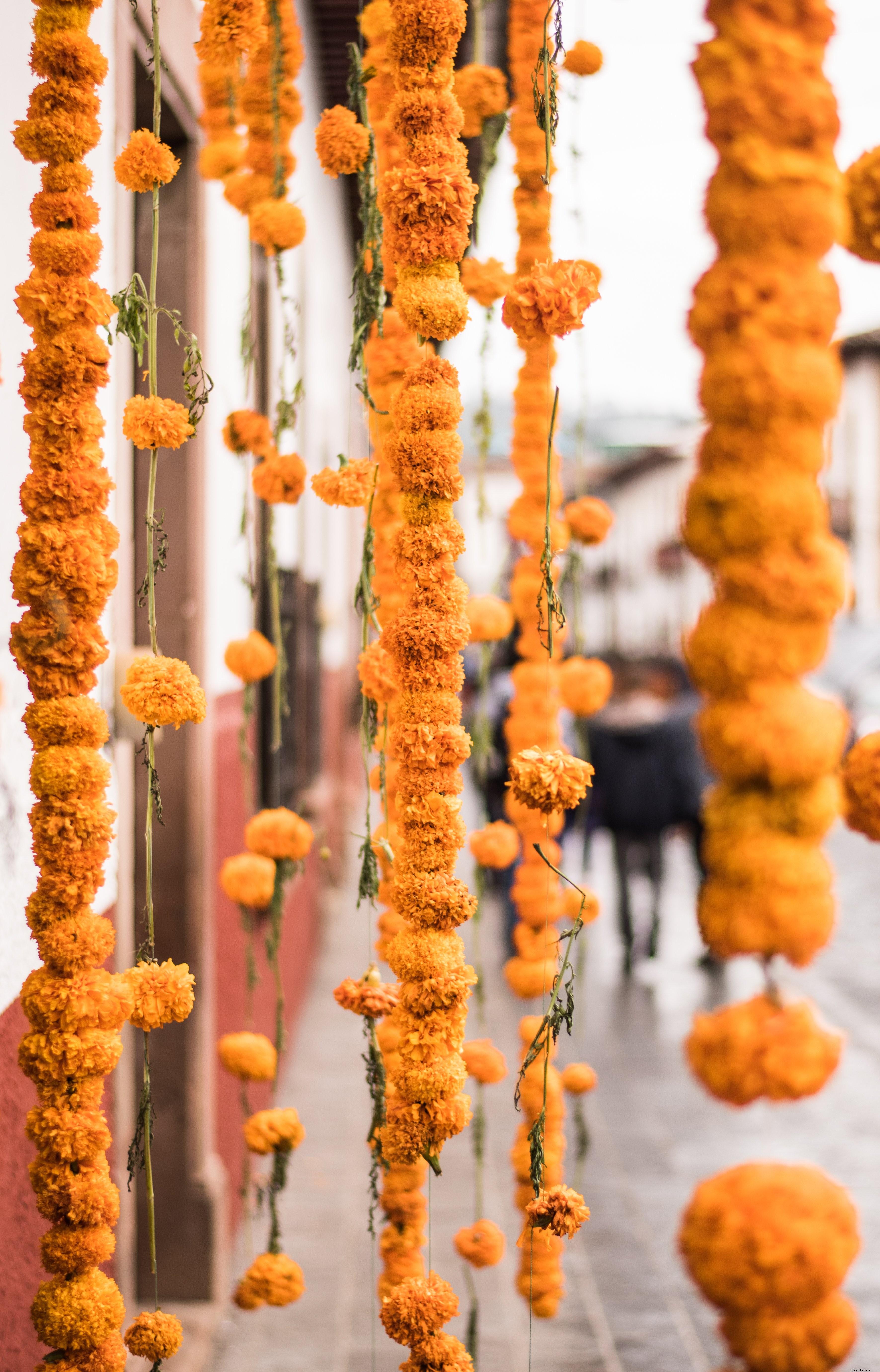 Vibrant Marigold Garlands Draped Across City Streets – Stunning Photo