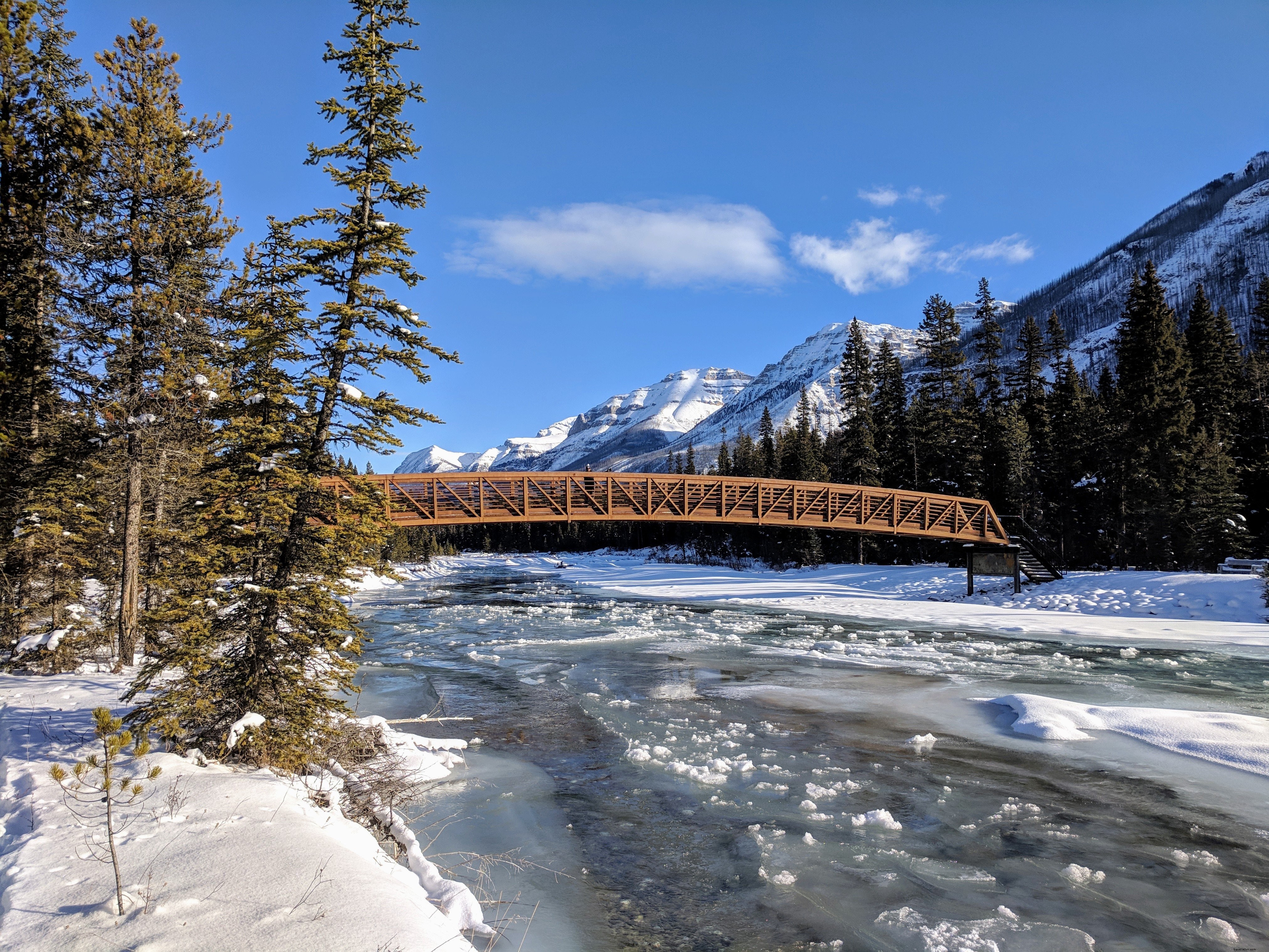 Stunning Bridge Over a Frozen River: Captivating Winter Landscape Photo