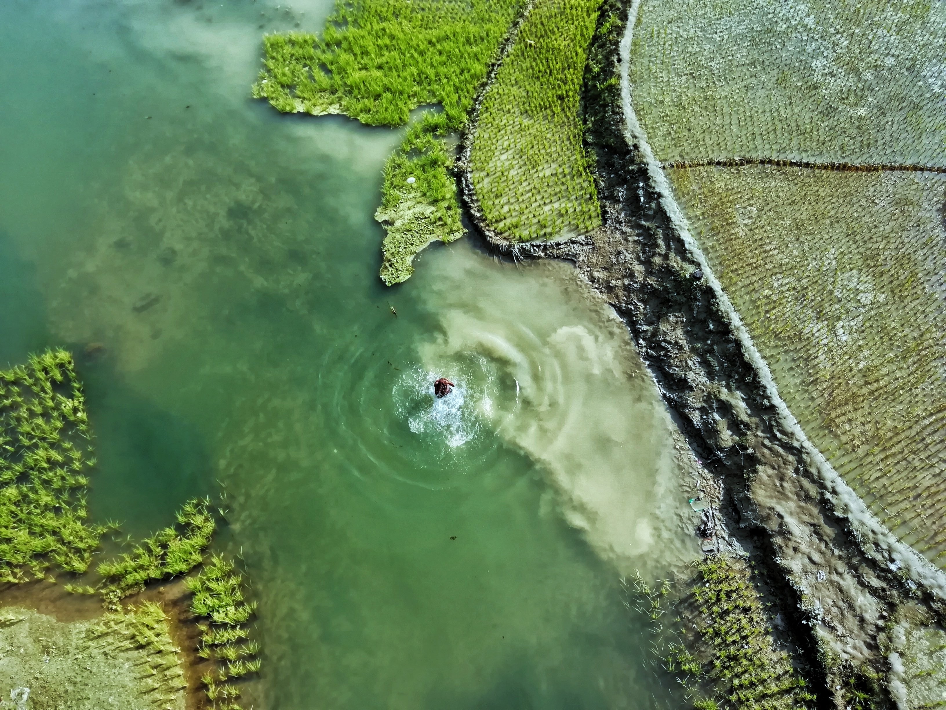 Stunning Aerial View: Man Taking a Refreshing Dip in Pristine Waters