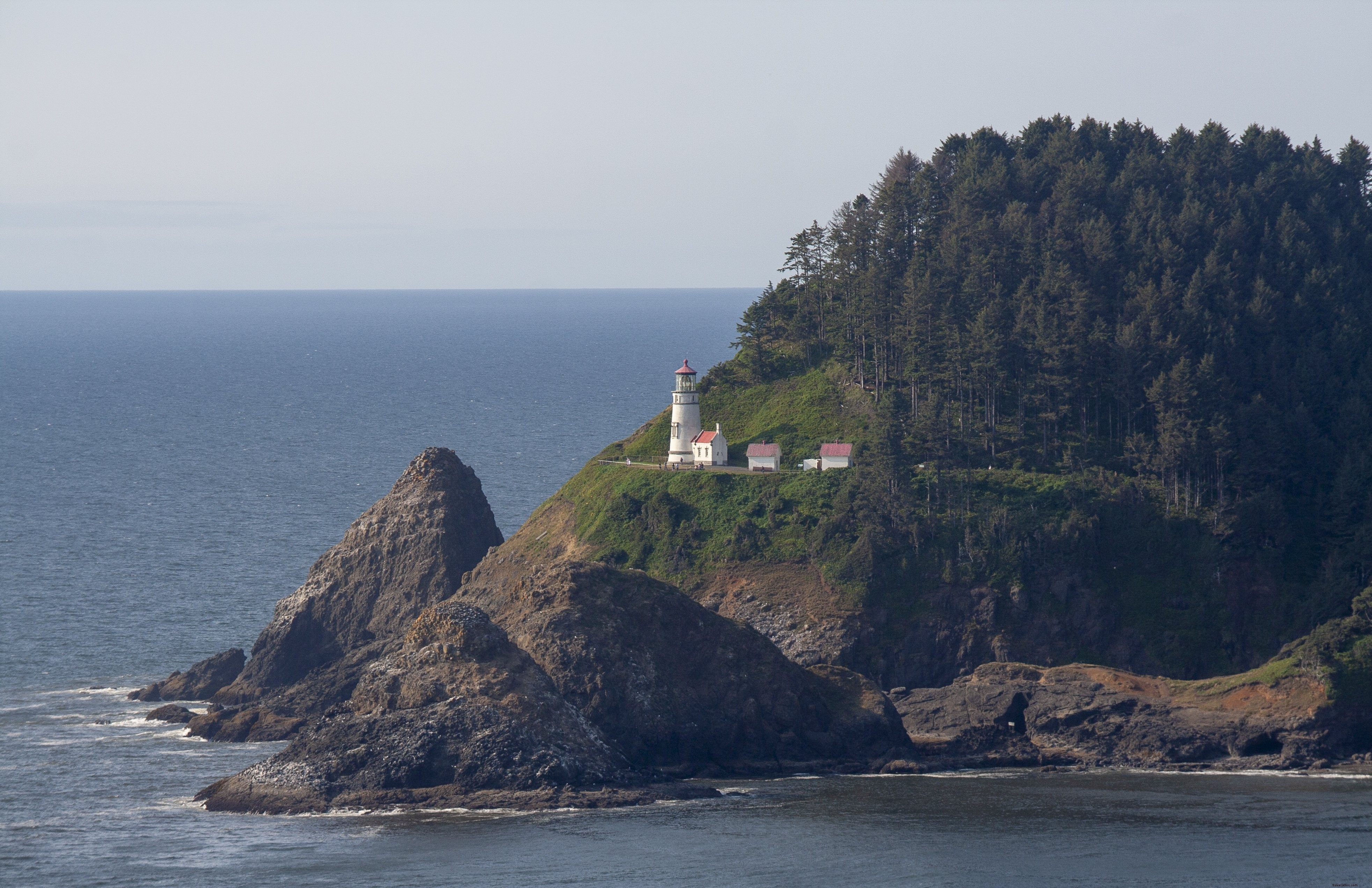 Stunning Photo: Lighthouse on Tree-Covered Peninsula