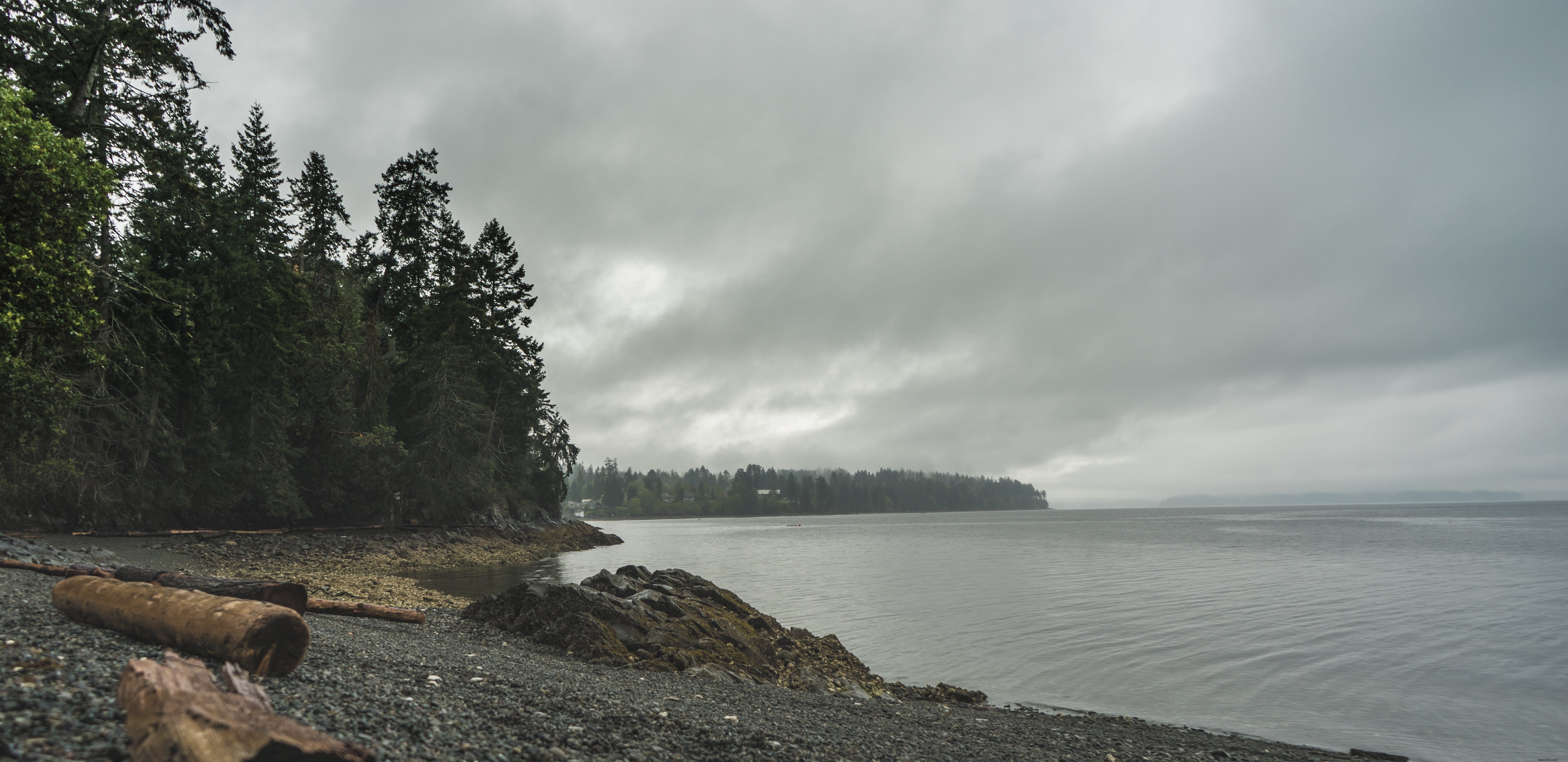Serene Tree-Lined Rubble Beach in Cool Grey Tones – Stunning Landscape Photo