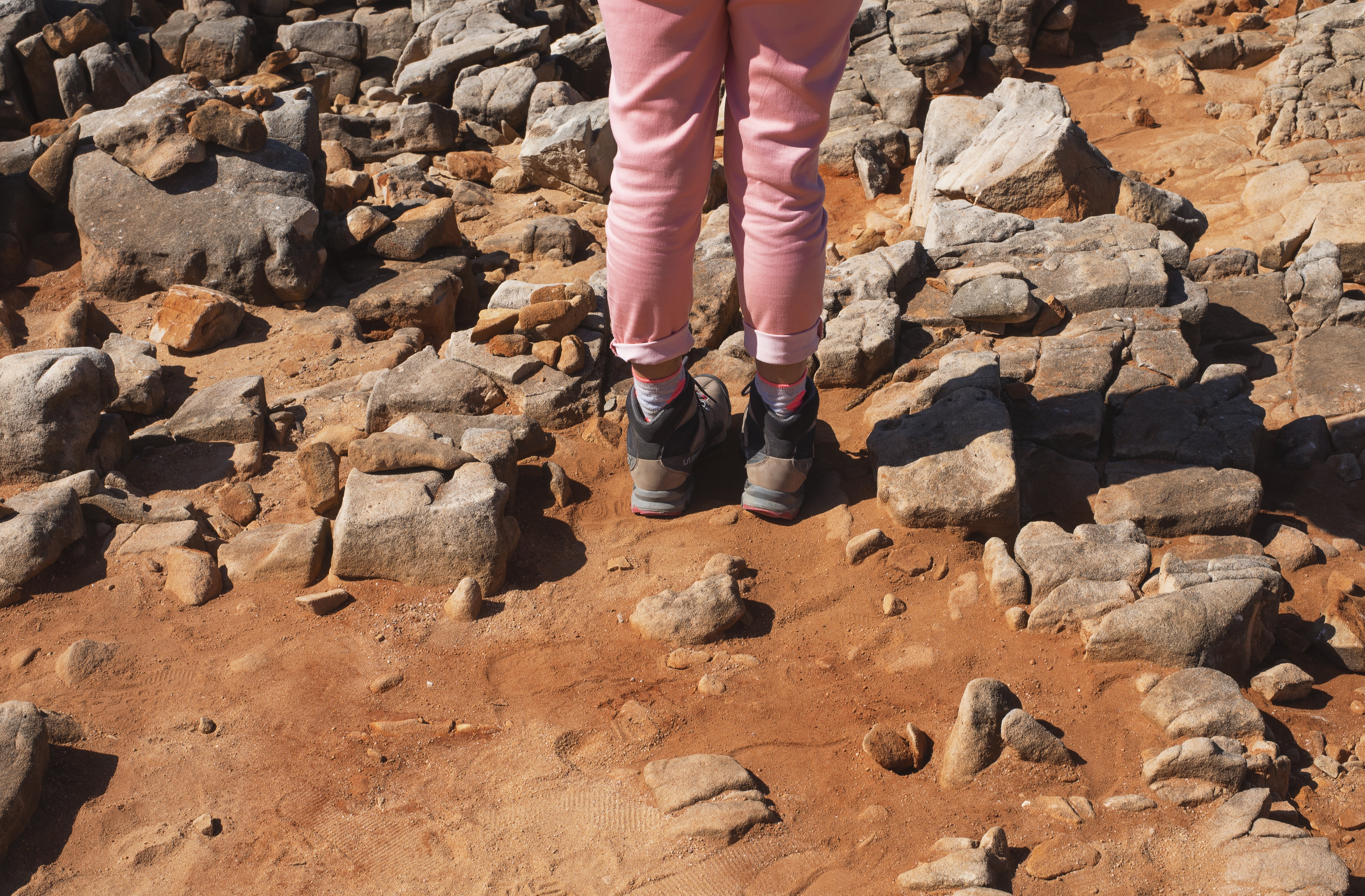 Off the Beaten Path: Stunning Nature Walk Photography