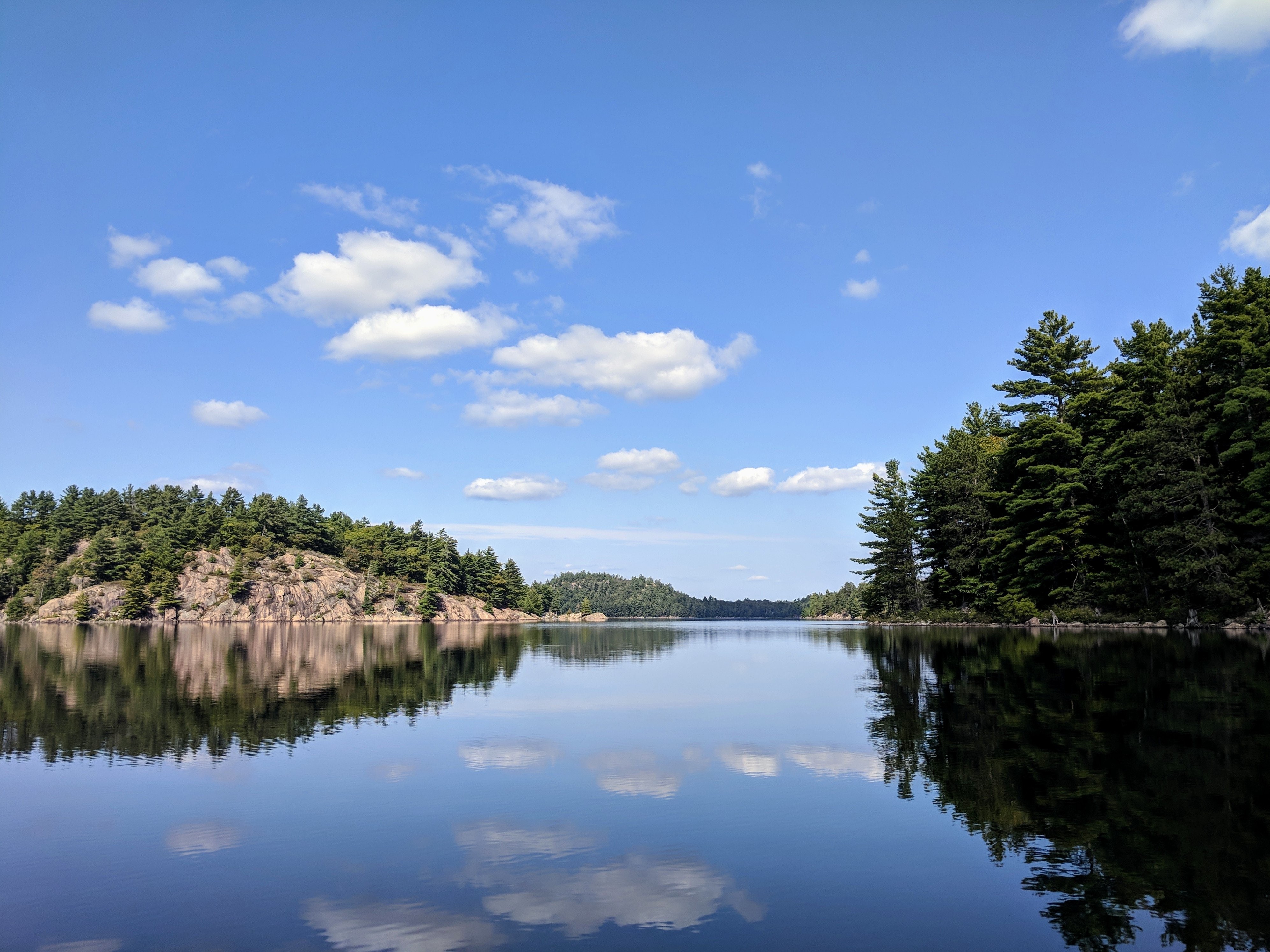 Serene Lake Reflections: Rocks and Trees in Perfect Mirror Image