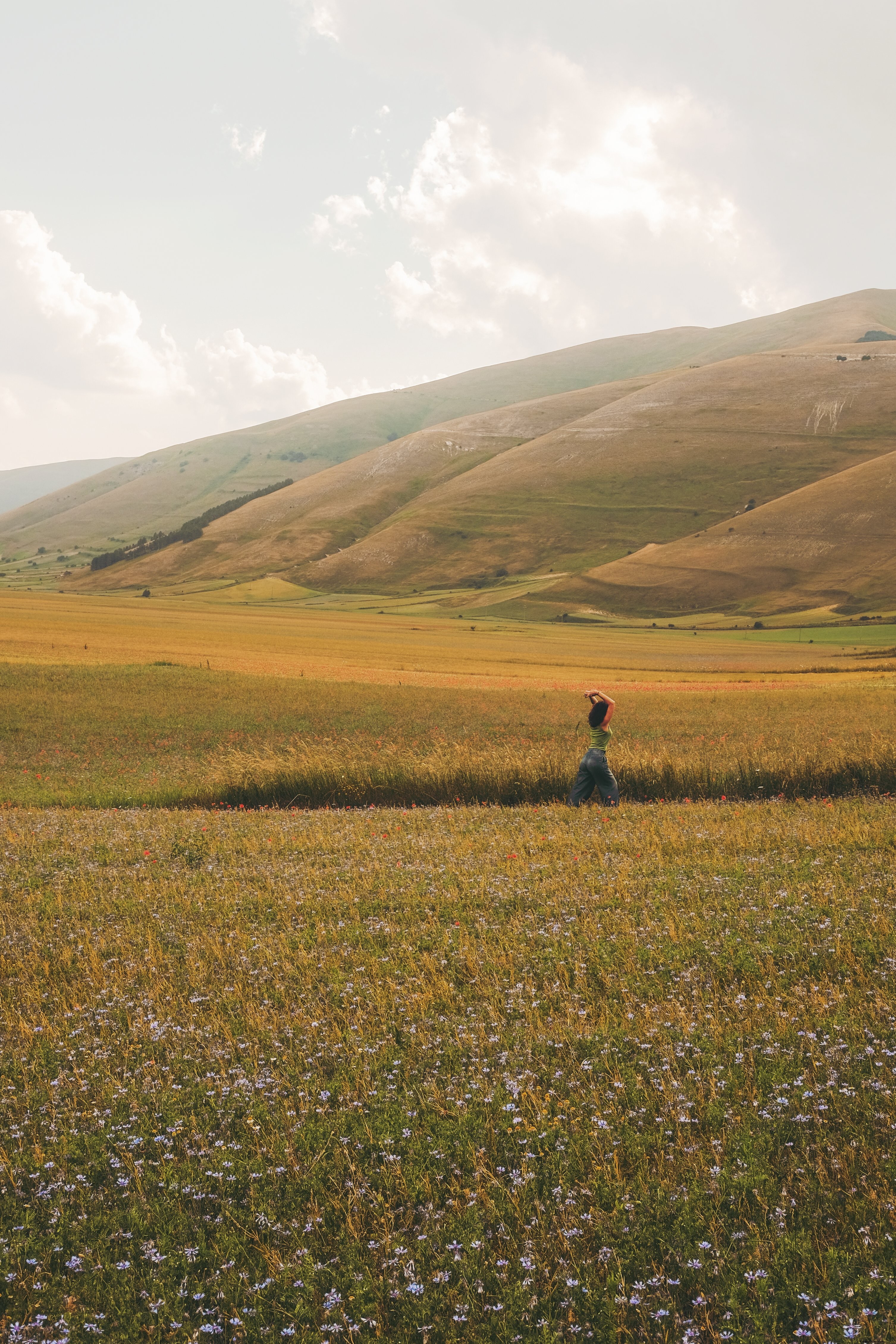 Stunning Photo: Person Reaching Skyward in Vast Open Grassy Field