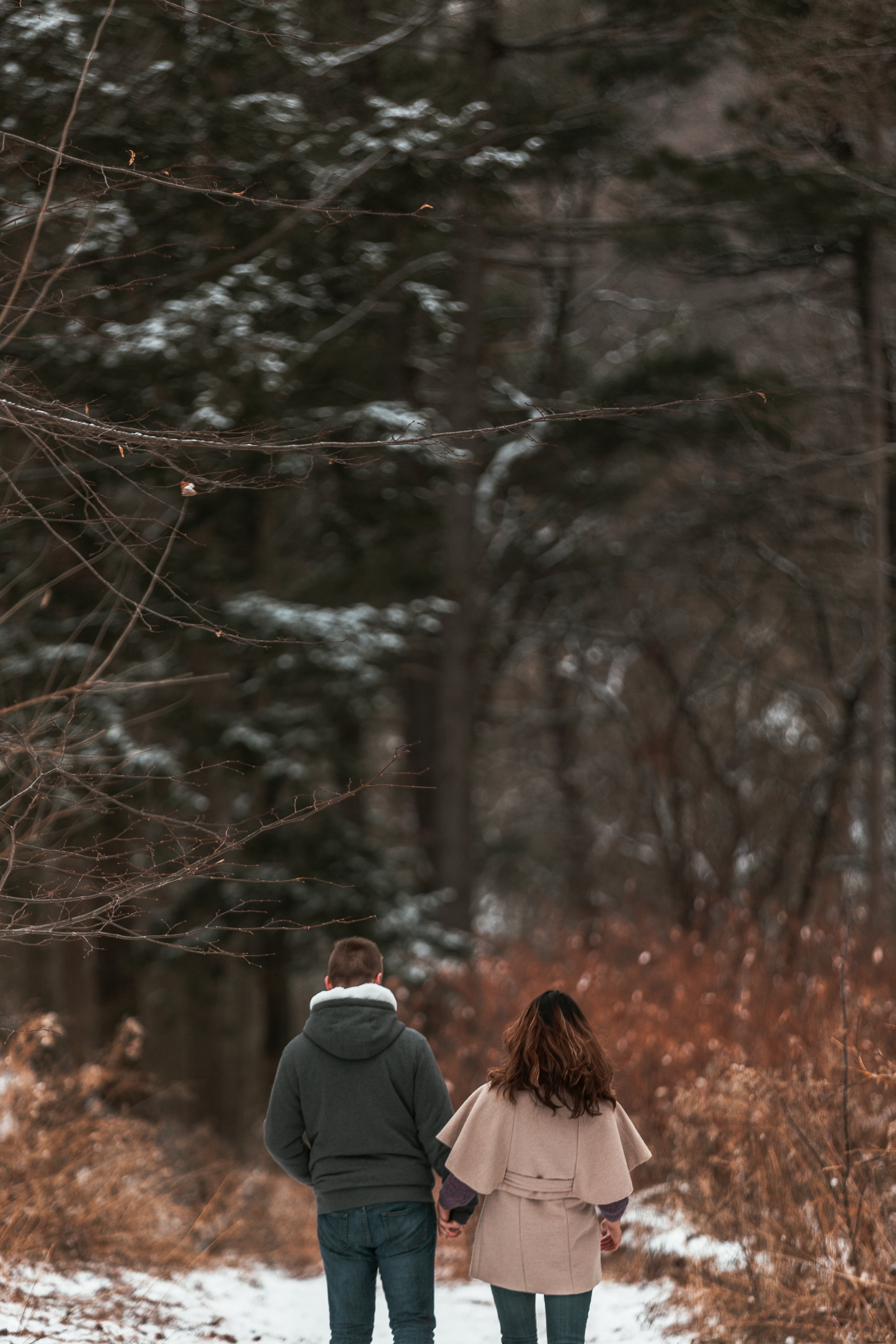 Serene Couple on a Brisk Woodland Walk – Captivating Nature Photo