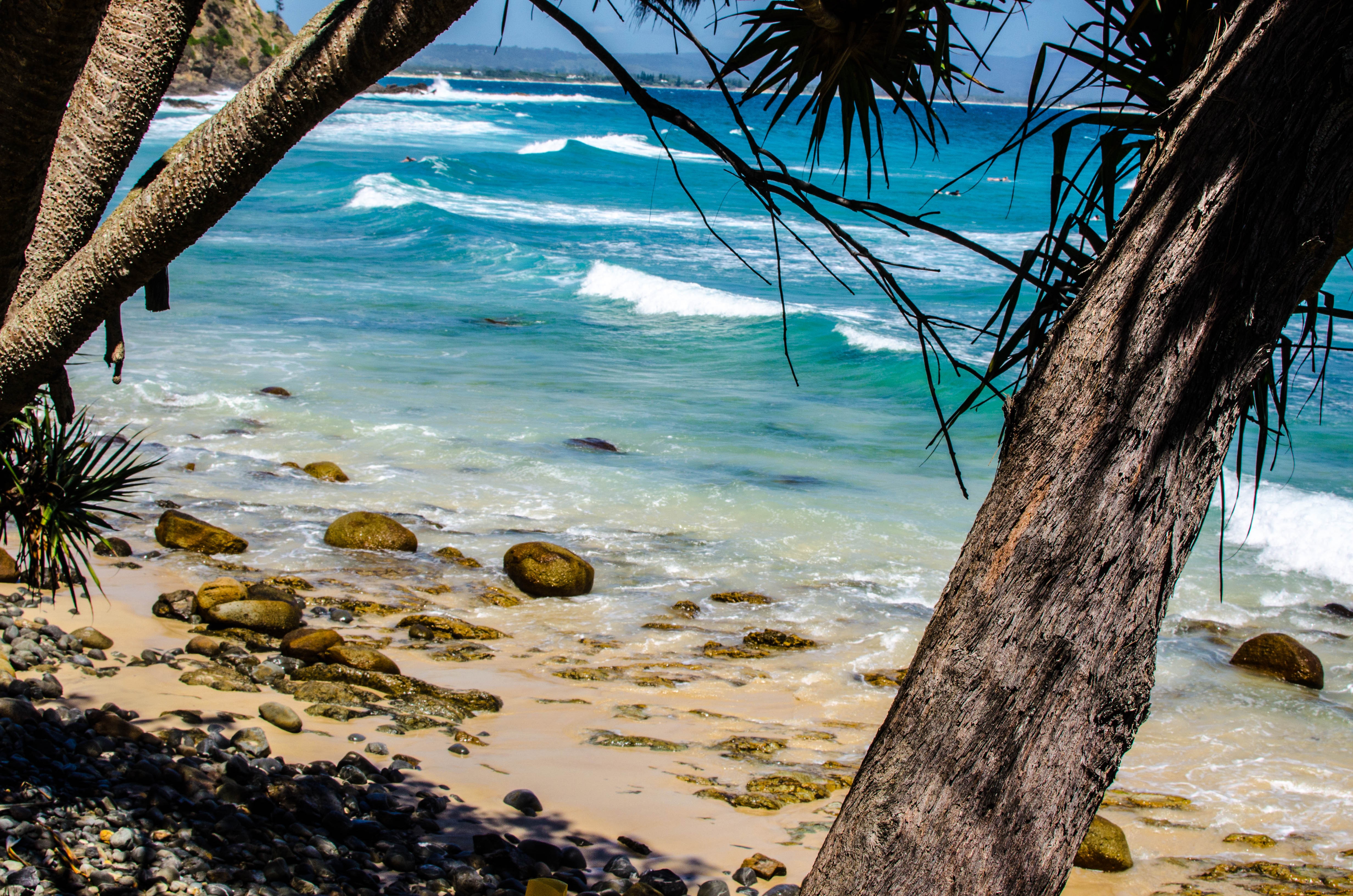 Stunning Blue Waves Rolling Over Pebbles on Palm Tree-Lined Beach – High-Res Photo
