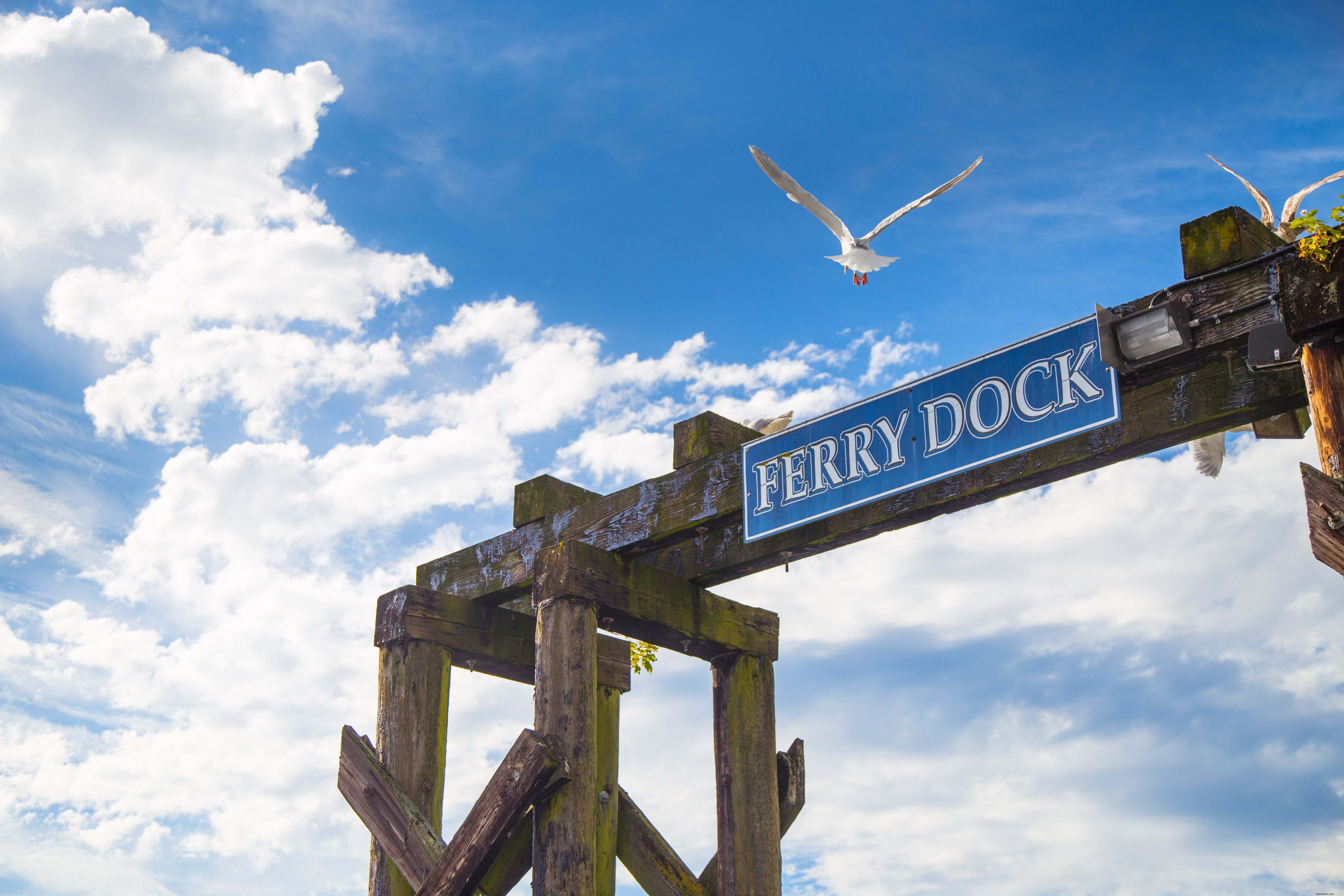 Stunning Seagull Soaring Over Ferry Dock – Captivating Photo