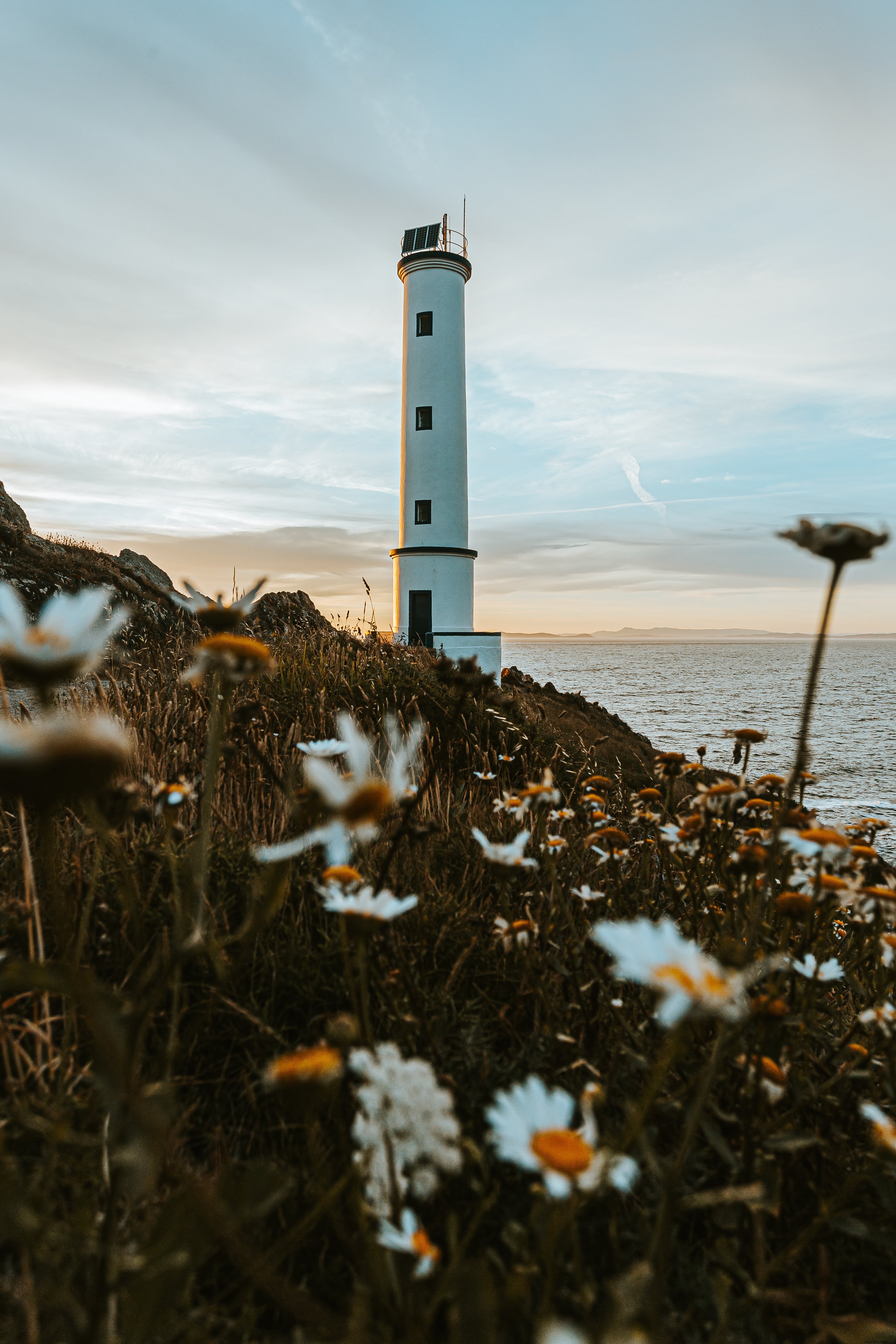 Stunning Lighthouse Surrounded by Blooming Daisies – Captivating Coastal Photo