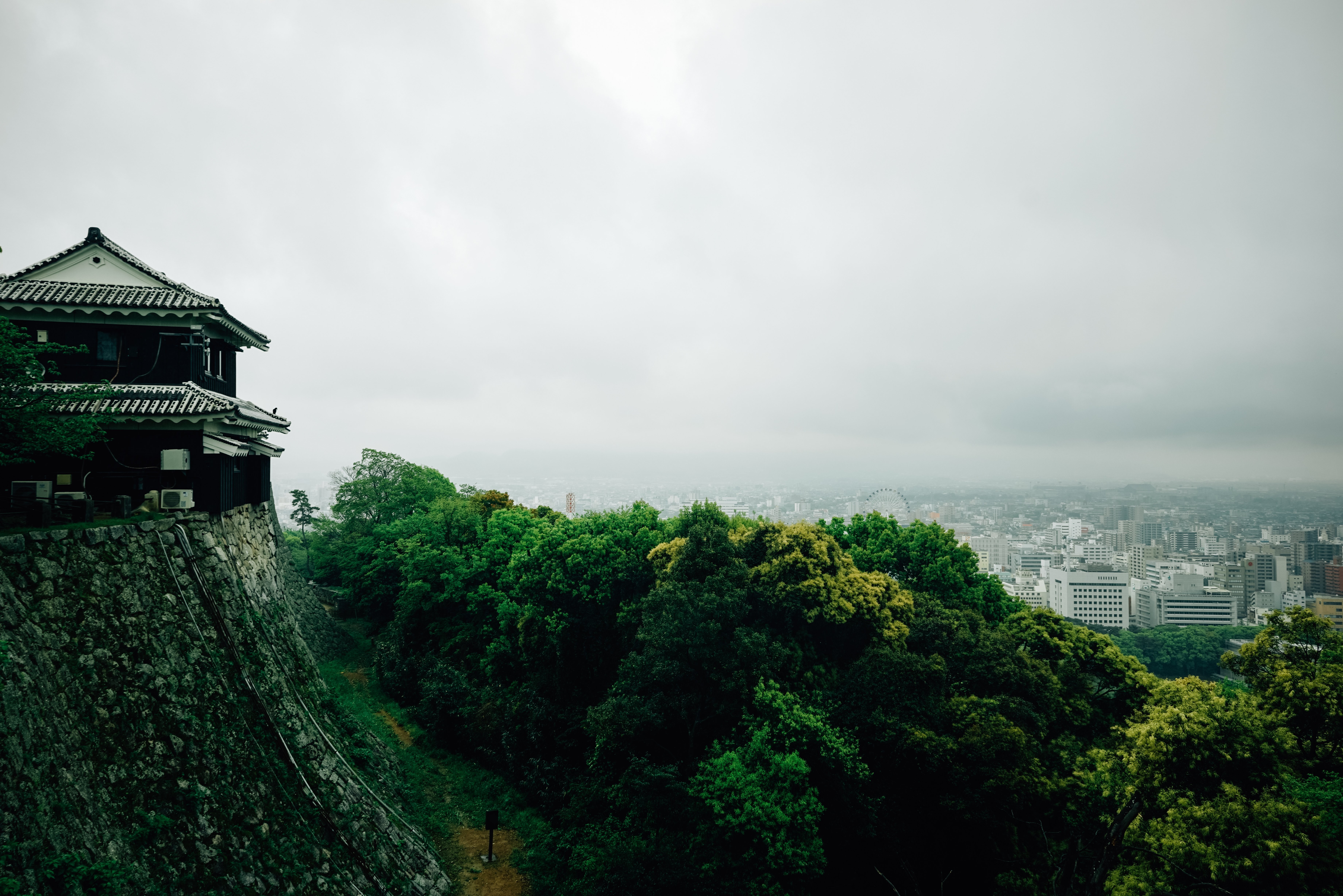 Stunning View from Shiroyama Park: Captivating Photograph
