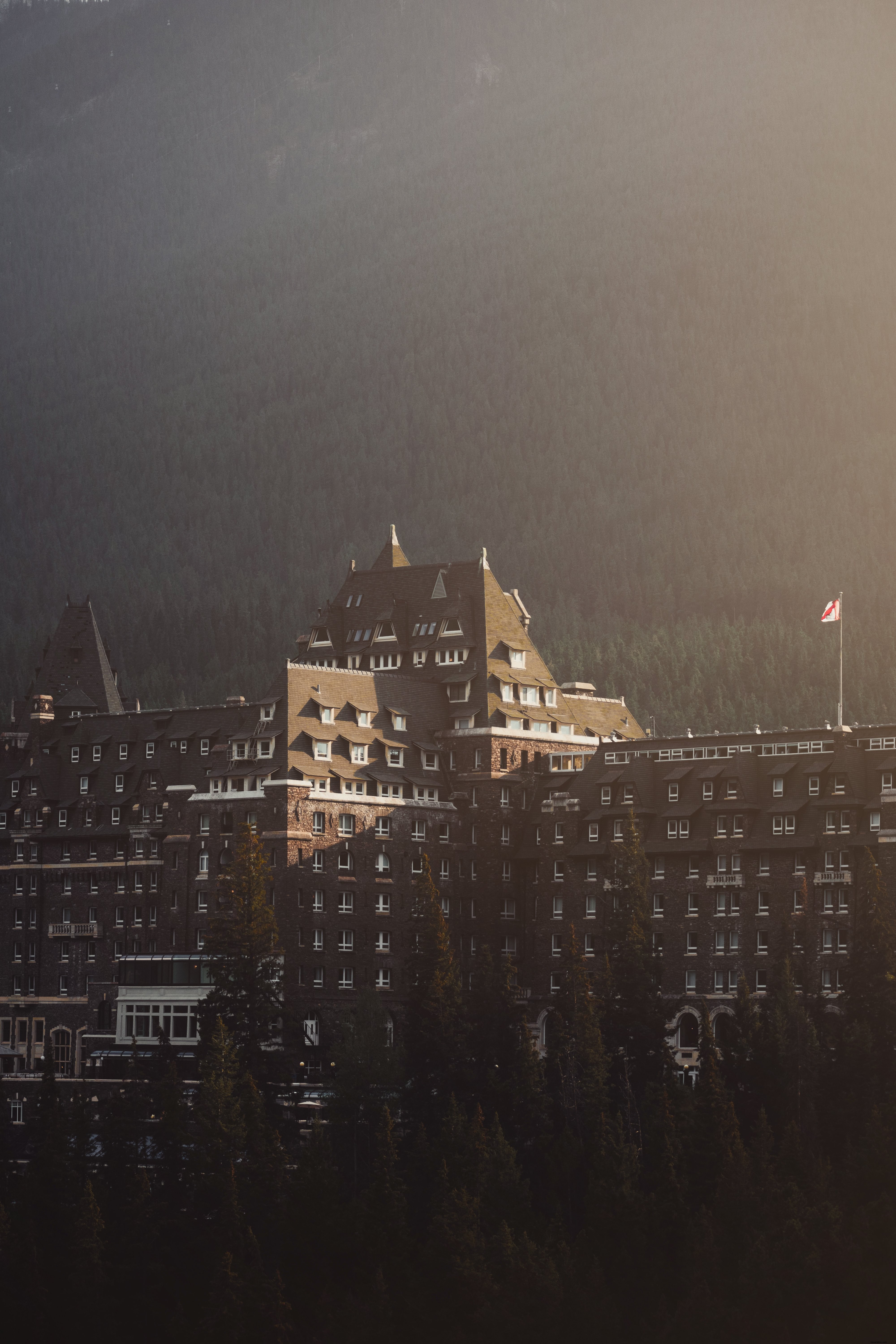Stunning Rooftop Photo: Sunlight Filtering Through a Mountain of Trees