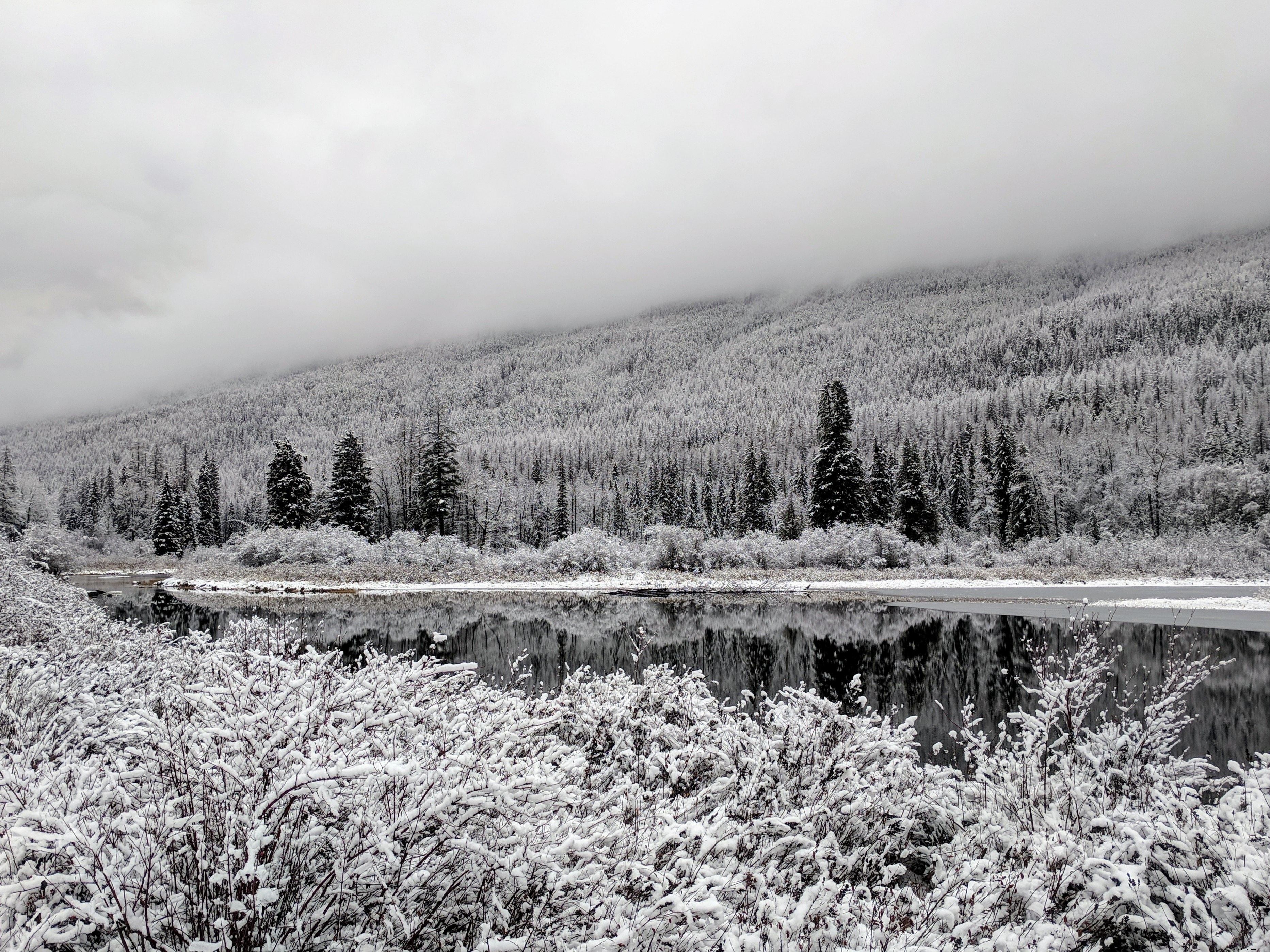 Stunning Reflection of Snow-Capped Trees in Serene Lake – Breathtaking Winter Photo