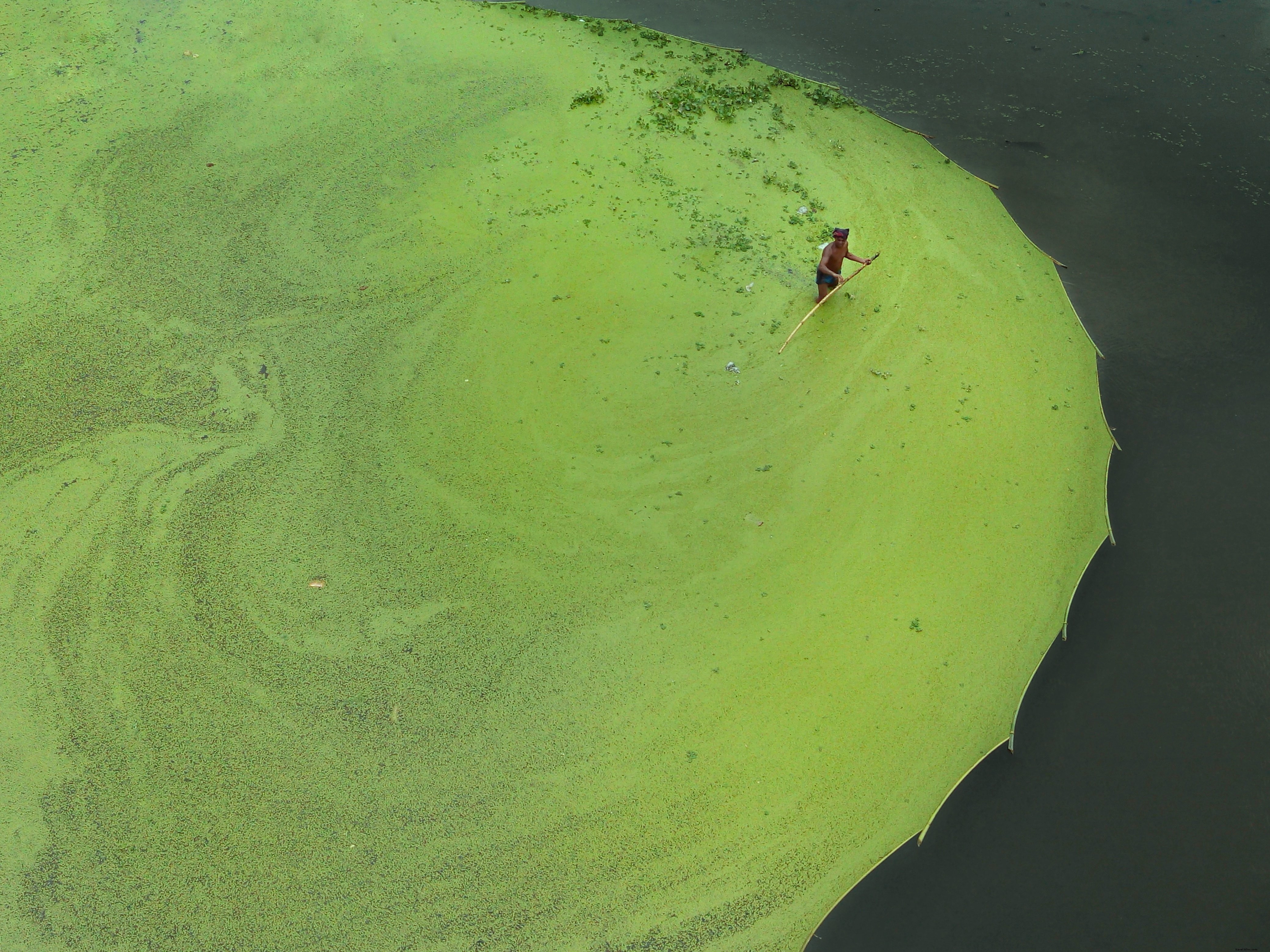 Stunning Aerial View: Man Wading Through Shallow Waters Photo