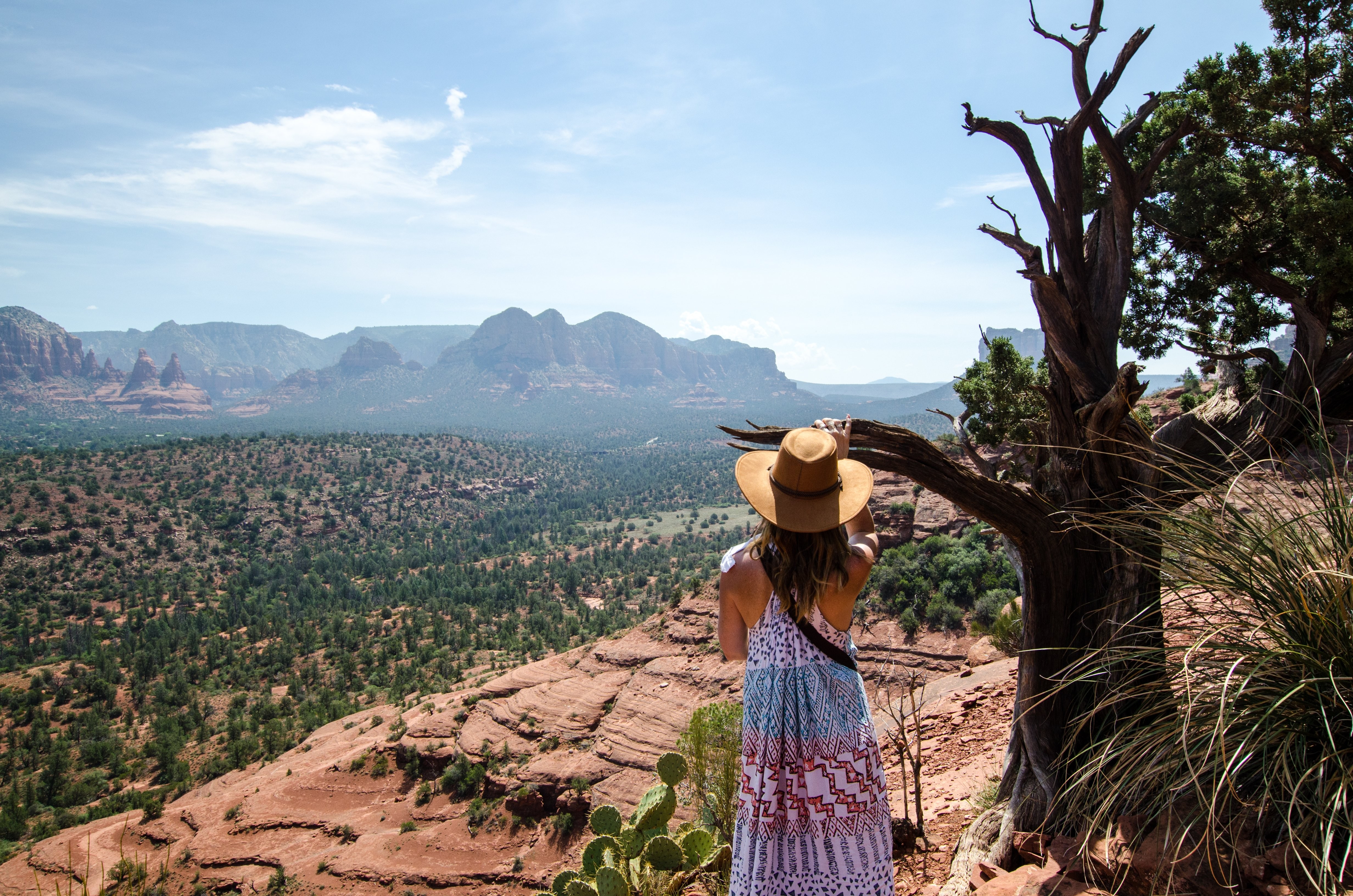 Serene Woman by Tree Overlooking Majestic Valley – Stunning Landscape Photo