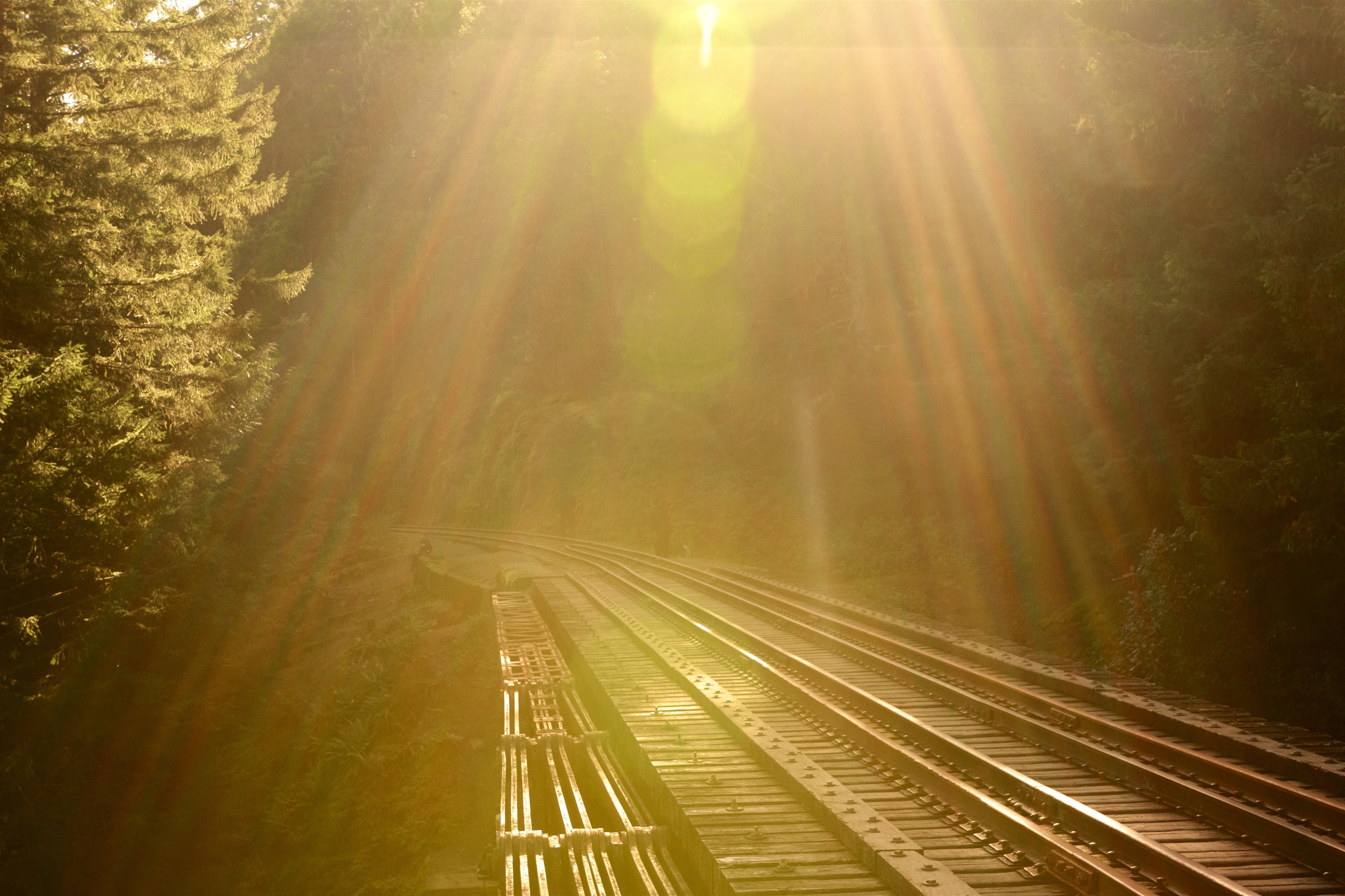 Stunning Train Tracks Winding Through Lush Mountain Forest Photo