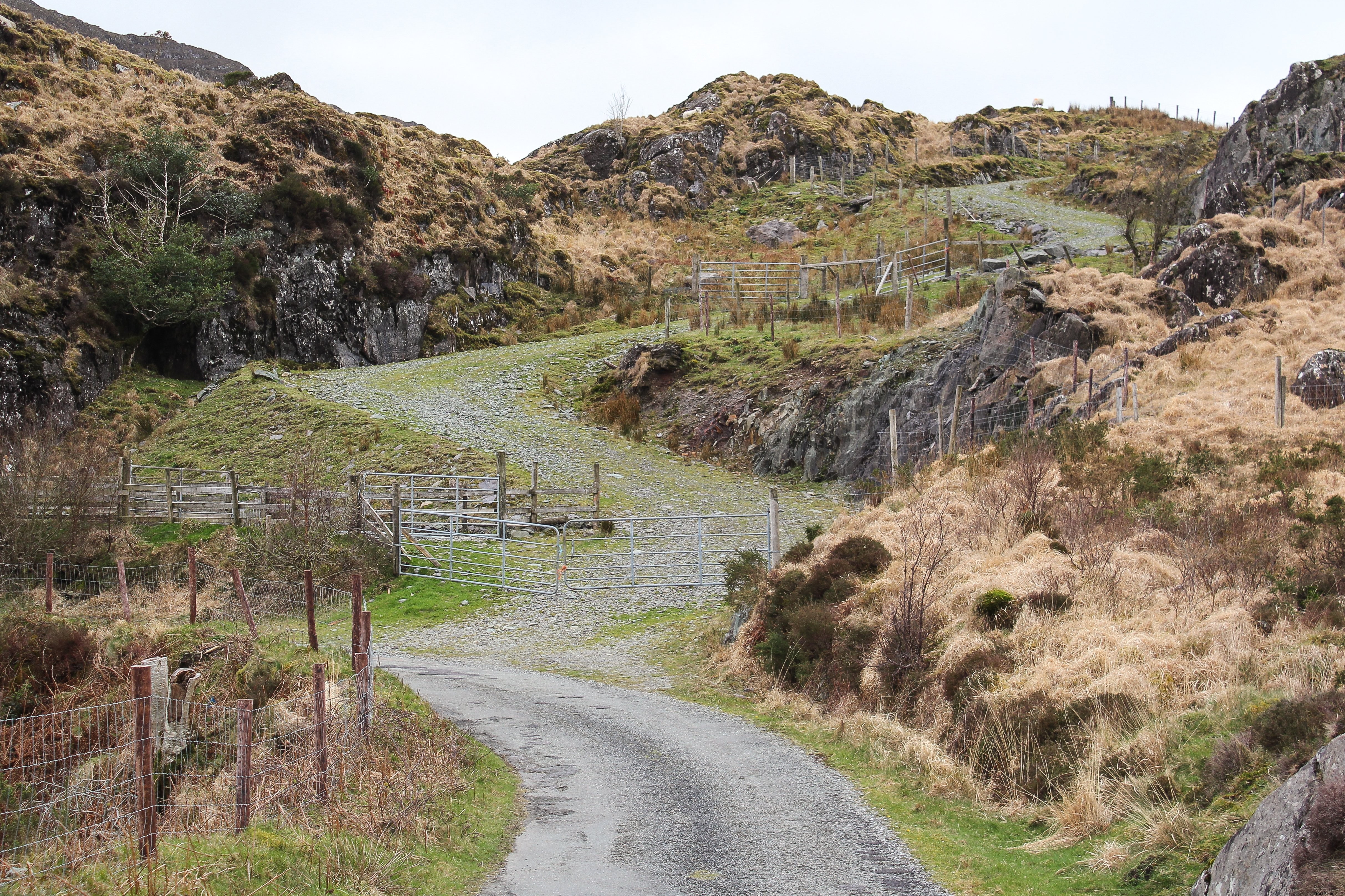 Scenic Cattle Path Winding Up into the Hills – Stunning Landscape Photo