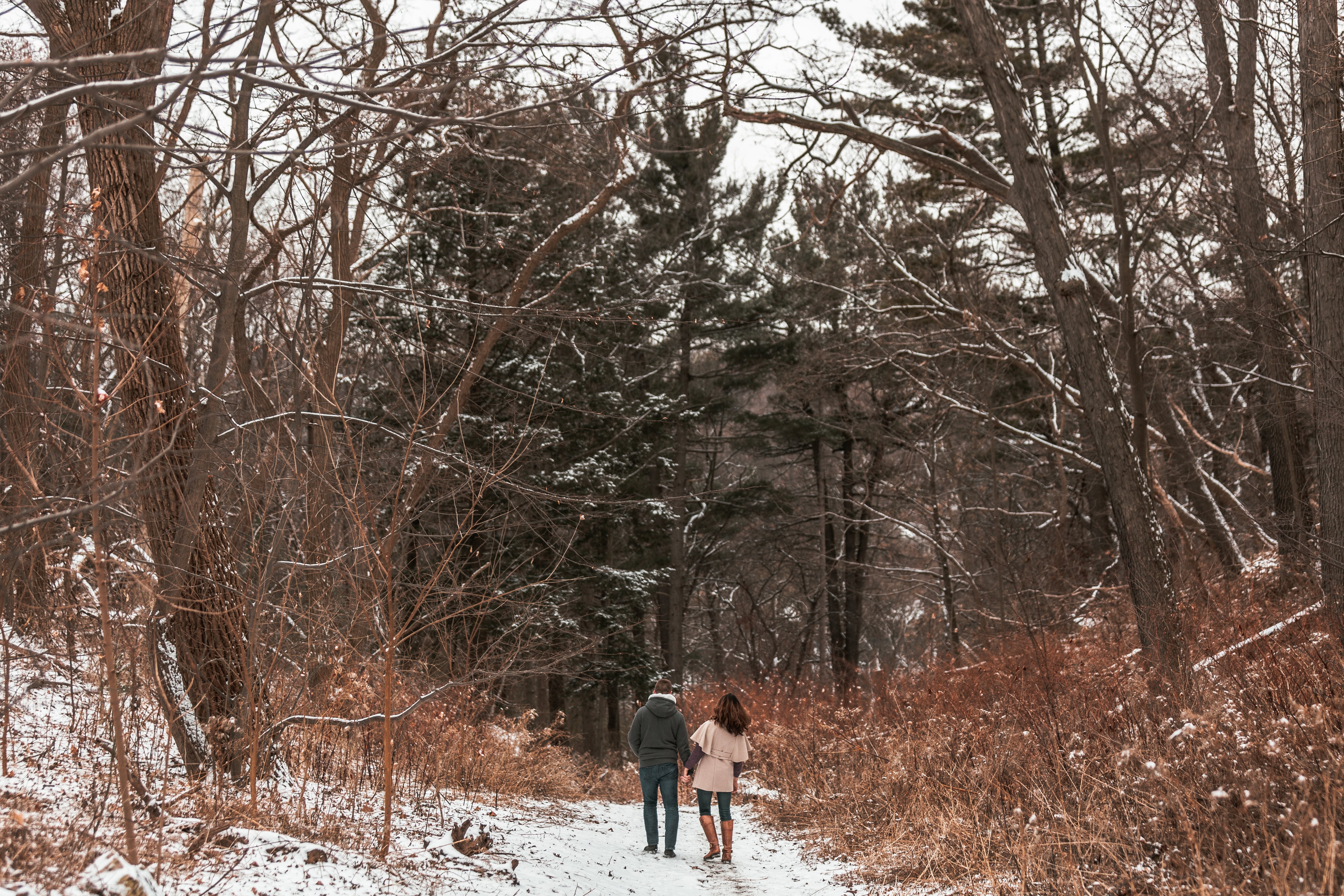 Romantic Couple Strolling Through Snowy Forest – Captivating Winter Photo