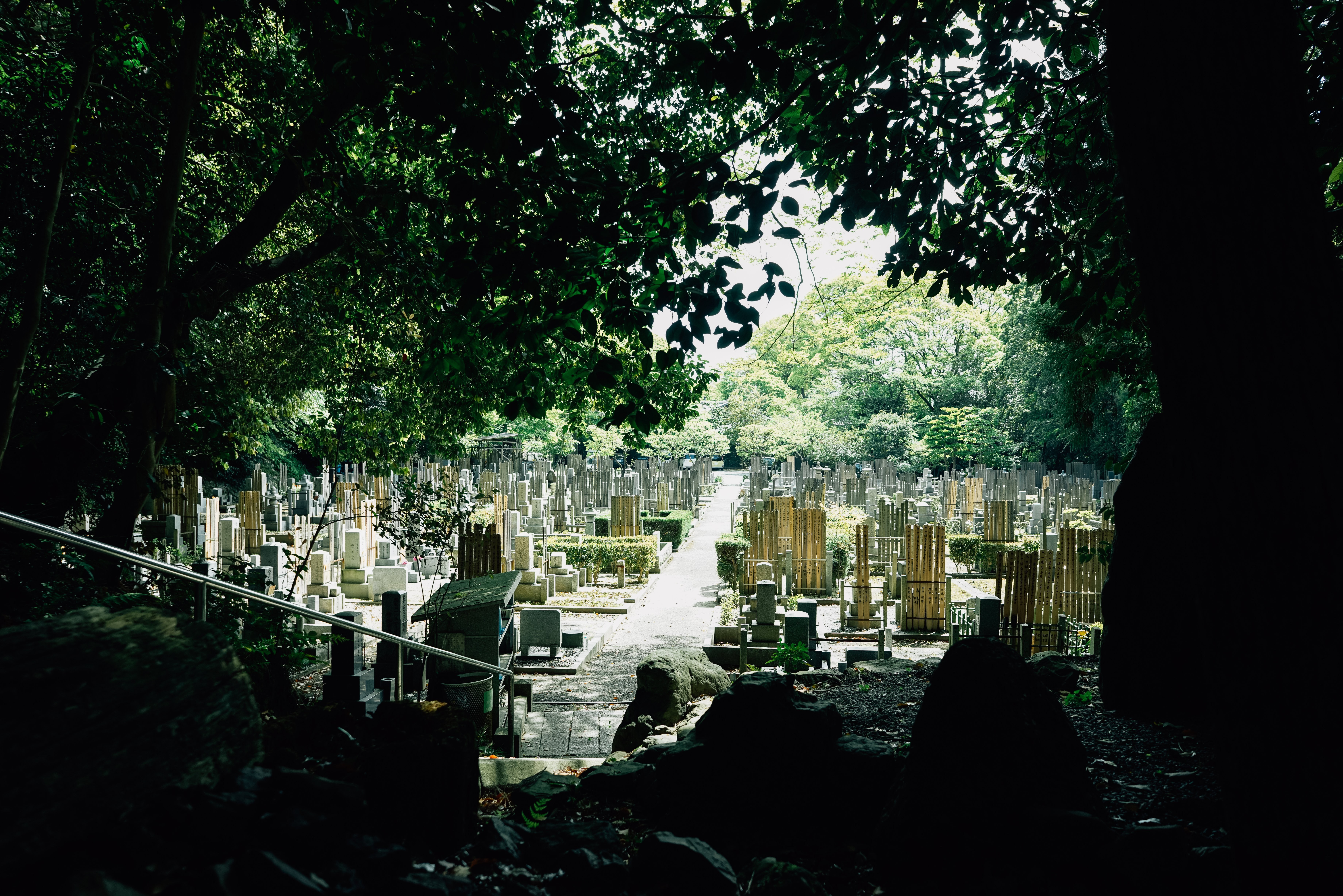 Serene Japanese Cemetery Bathed in Golden Sunlight – Stunning Photo