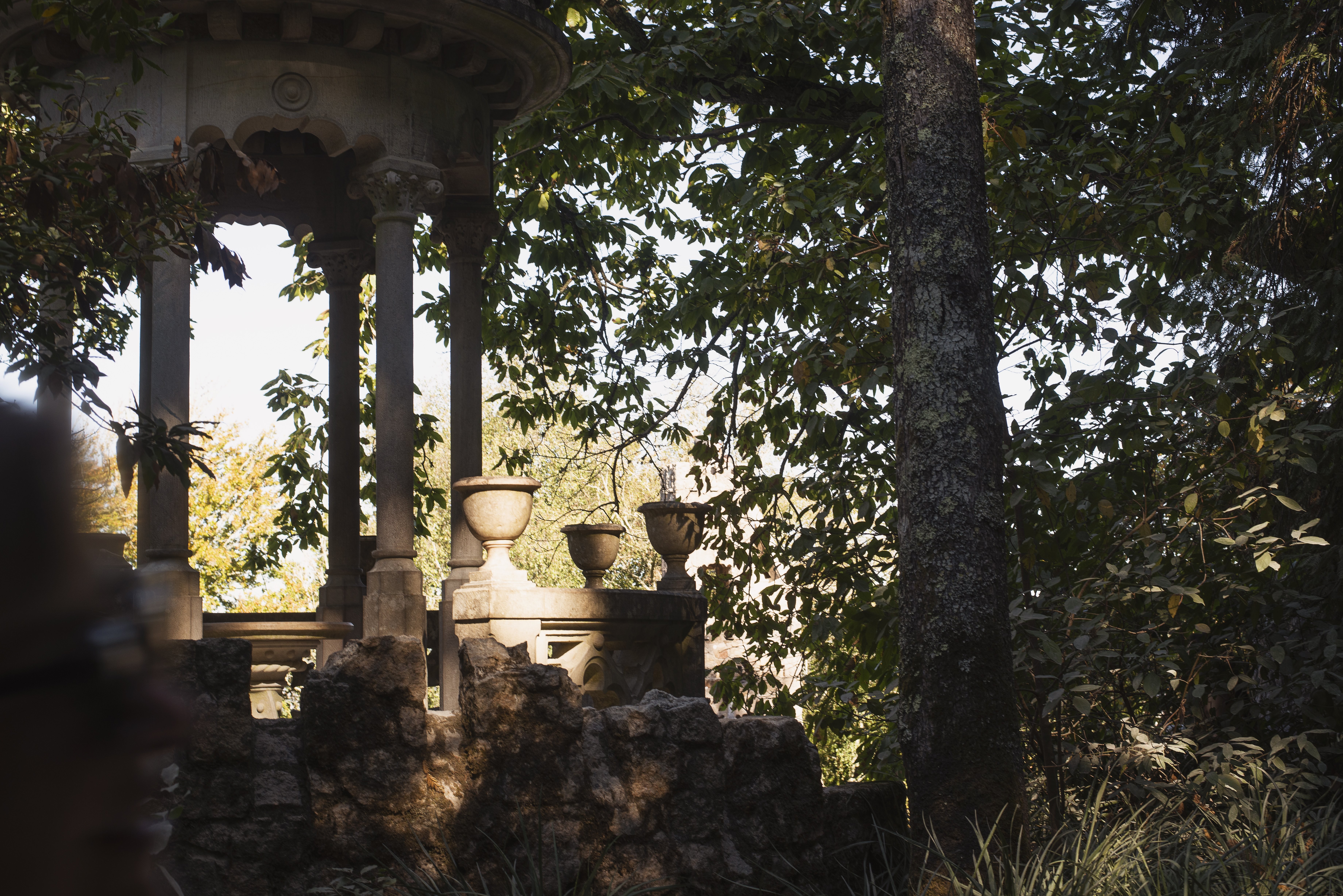 Sunlight Illuminates Intricate Stonework Amidst Trees – Stunning Nature Photo