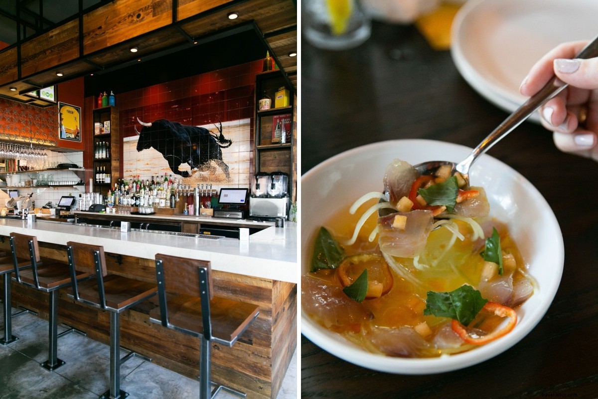 Ultimate Guide to Charleston s Best Food, Drinks & Coffee Spots