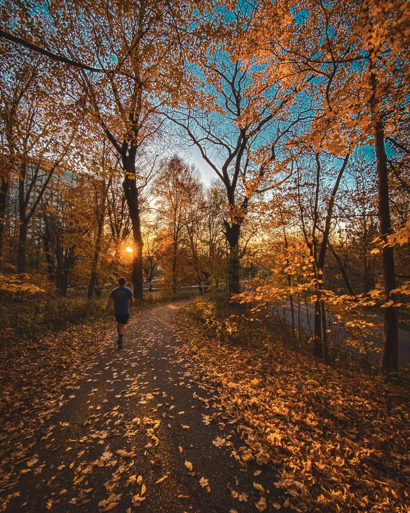 Louisville: Beyond Derby City – A Movable Feast of Bourbon, Food & Culture