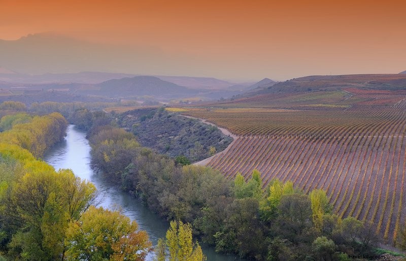 Explore Spain s Cava Landscapes: Your Guide to Sparkling Wine Bliss