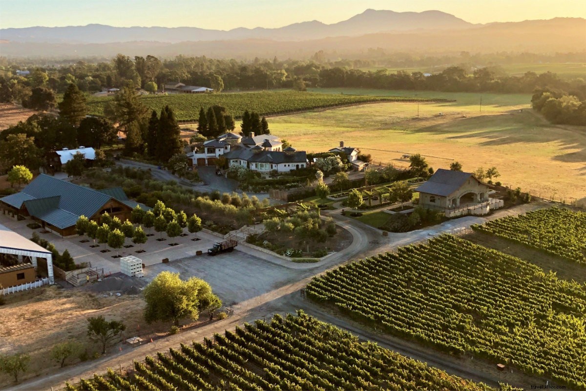 Discover Sonoma County s Safe Serenity: Enjoy Tranquil Escapes from Anywhere
