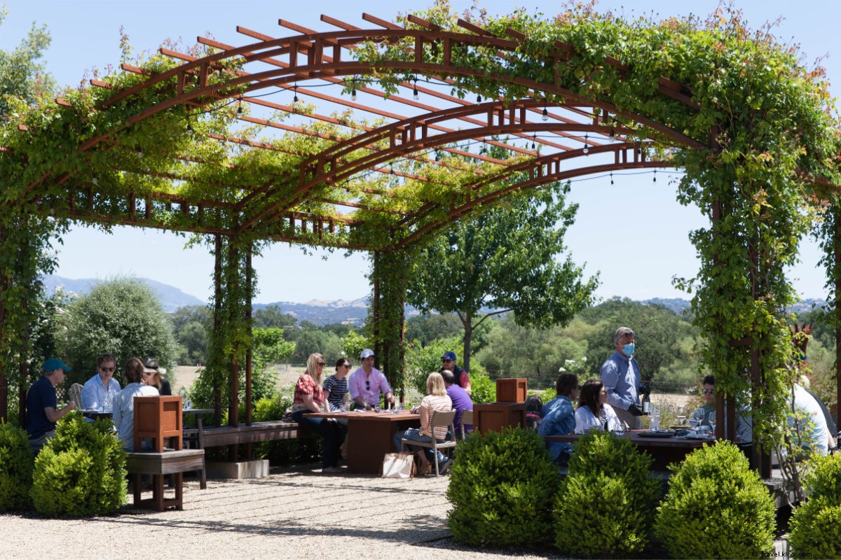 Discover Sonoma County s Safe Serenity: Enjoy Tranquil Escapes from Anywhere