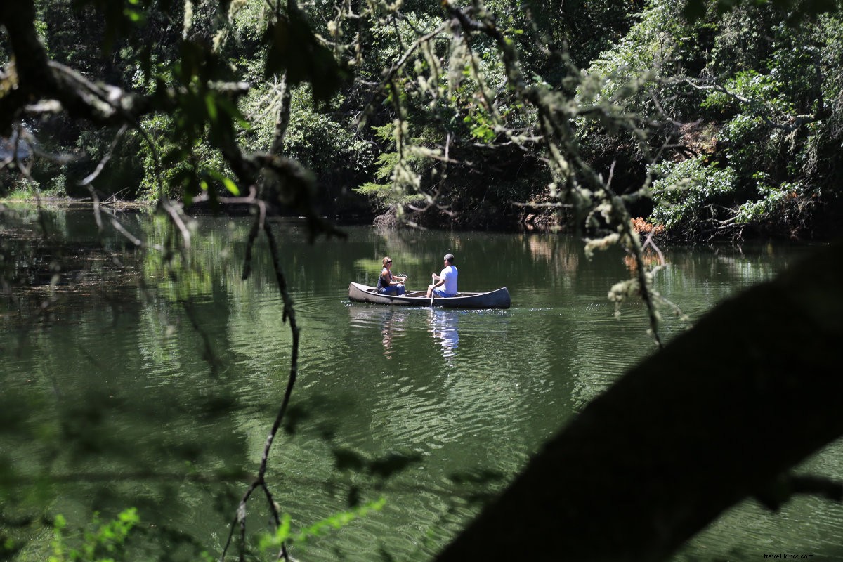 Discover Sonoma County s Safe Serenity: Enjoy Tranquil Escapes from Anywhere