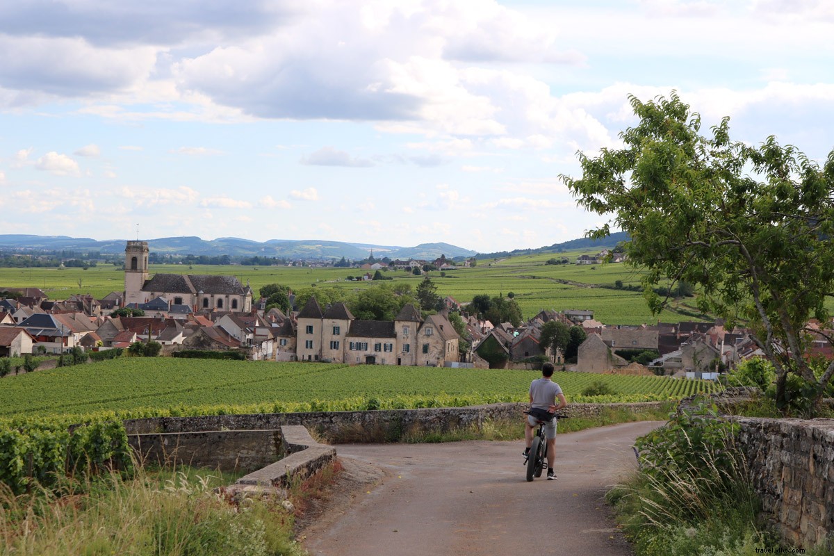 Cycling Through Burgundy Vineyards: Wine, Relaxation & Adventure from Beaune