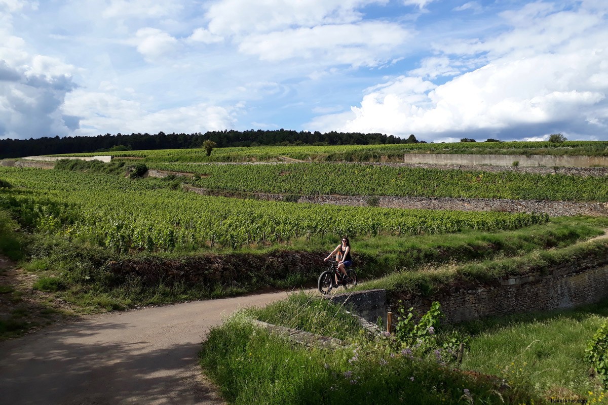Cycling Through Burgundy Vineyards: Wine, Relaxation & Adventure from Beaune