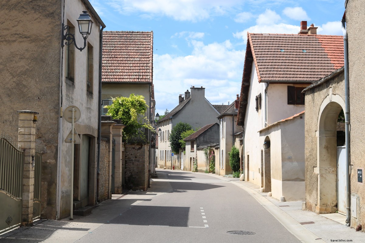 Cycling Through Burgundy Vineyards: Wine, Relaxation & Adventure from Beaune