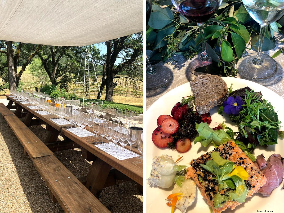 Sustainable Sips in Sonoma: Female Winemaker s Guide to Eco-Friendly Wines & Experiences