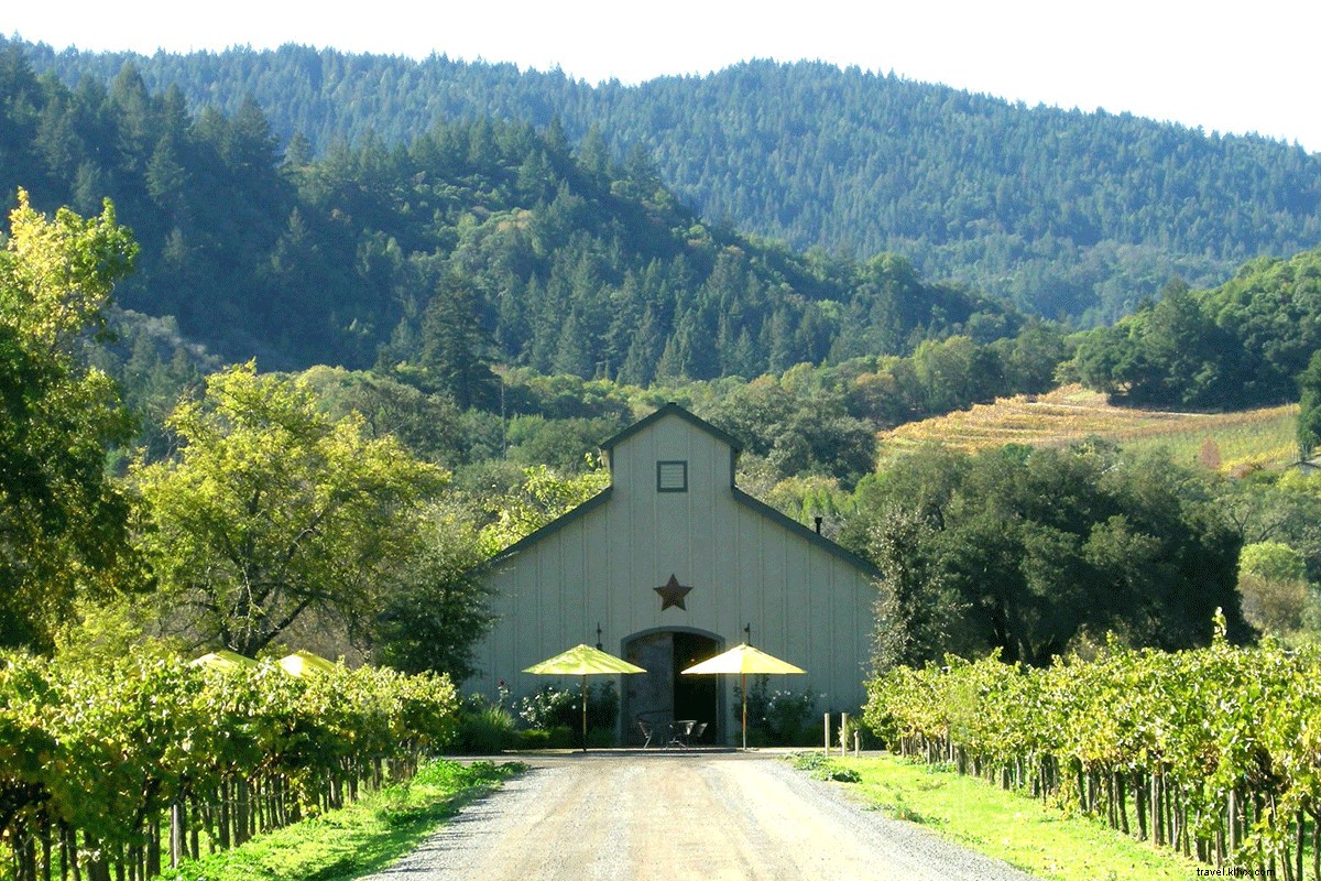 Sustainable Sips in Sonoma: Female Winemaker s Guide to Eco-Friendly Wines & Experiences
