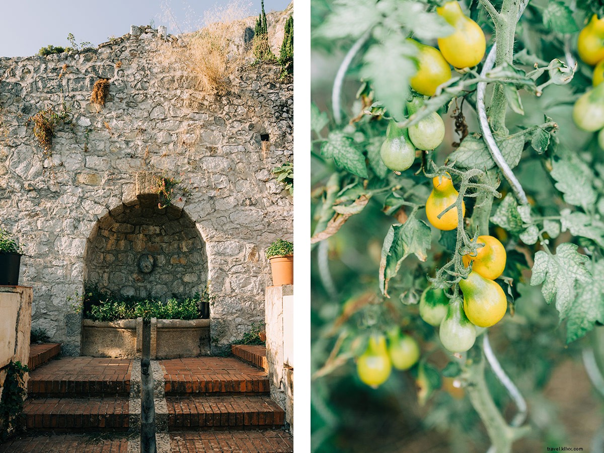What It s Like to Dine at the World s Best Restaurant in Menton, France