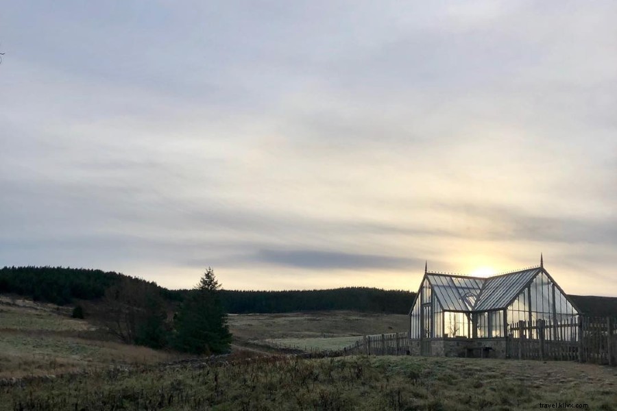 You ll Take the High Road: A Captivating Drive Through Northern Scotland s Highlands