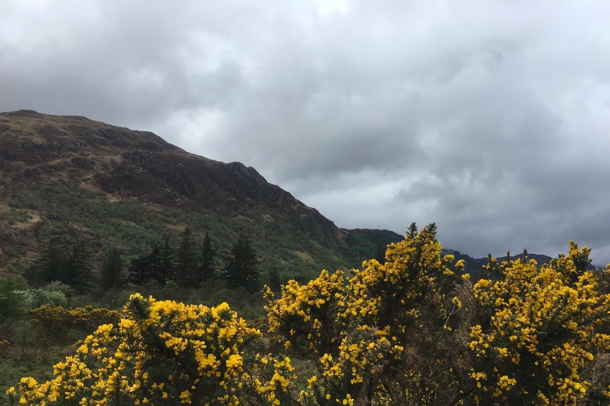 You ll Take the High Road: A Captivating Drive Through Northern Scotland s Highlands