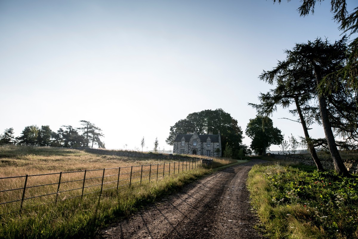 You ll Take the High Road: A Captivating Drive Through Northern Scotland s Highlands