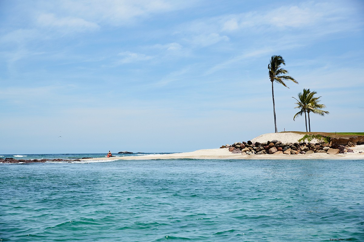 Fresh from Sea to Table: Punta Mita s Exquisite Seafood on Mexico s Pacific Coast