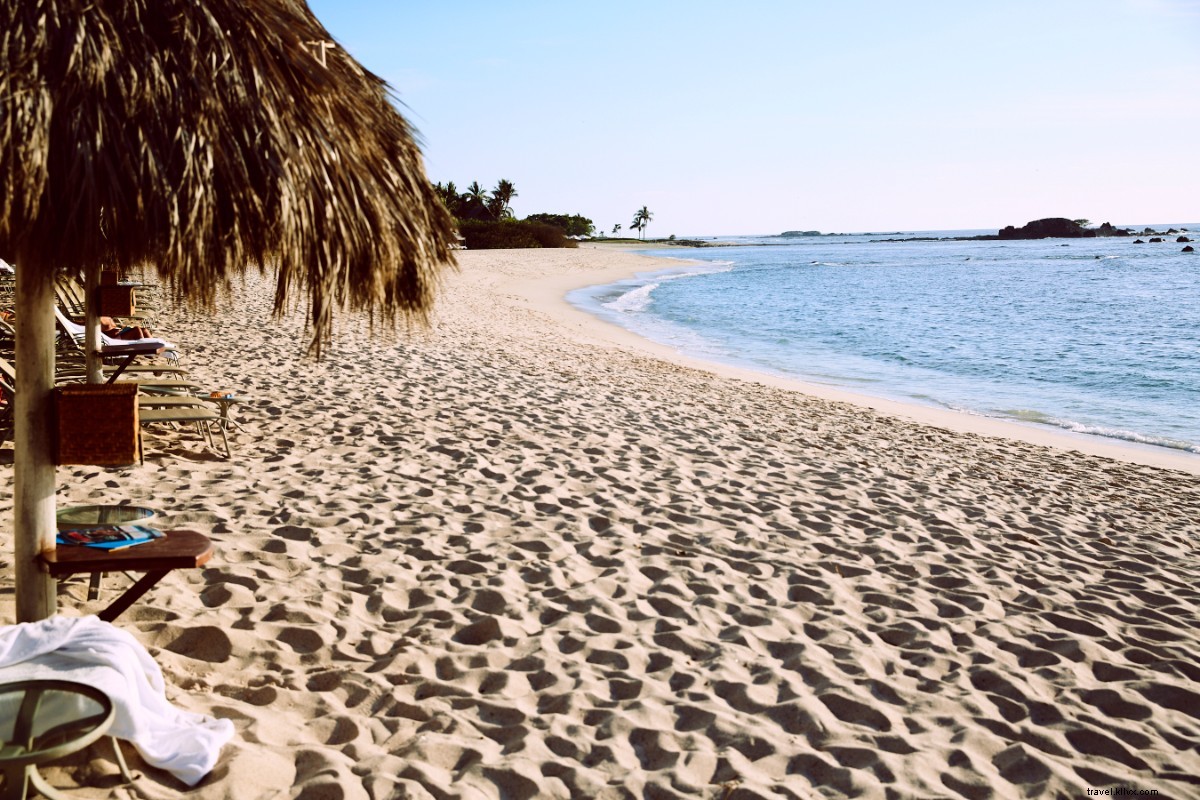 Fresh from Sea to Table: Punta Mita s Exquisite Seafood on Mexico s Pacific Coast