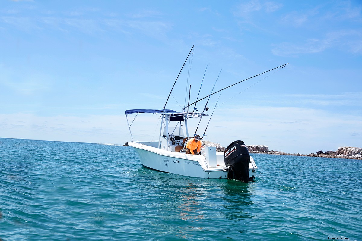 Fresh from Sea to Table: Punta Mita s Exquisite Seafood on Mexico s Pacific Coast