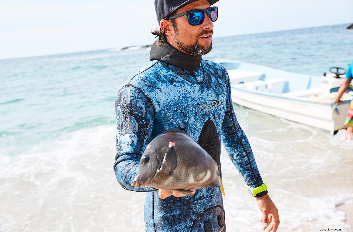 Fresh from Sea to Table: Punta Mita s Exquisite Seafood on Mexico s Pacific Coast