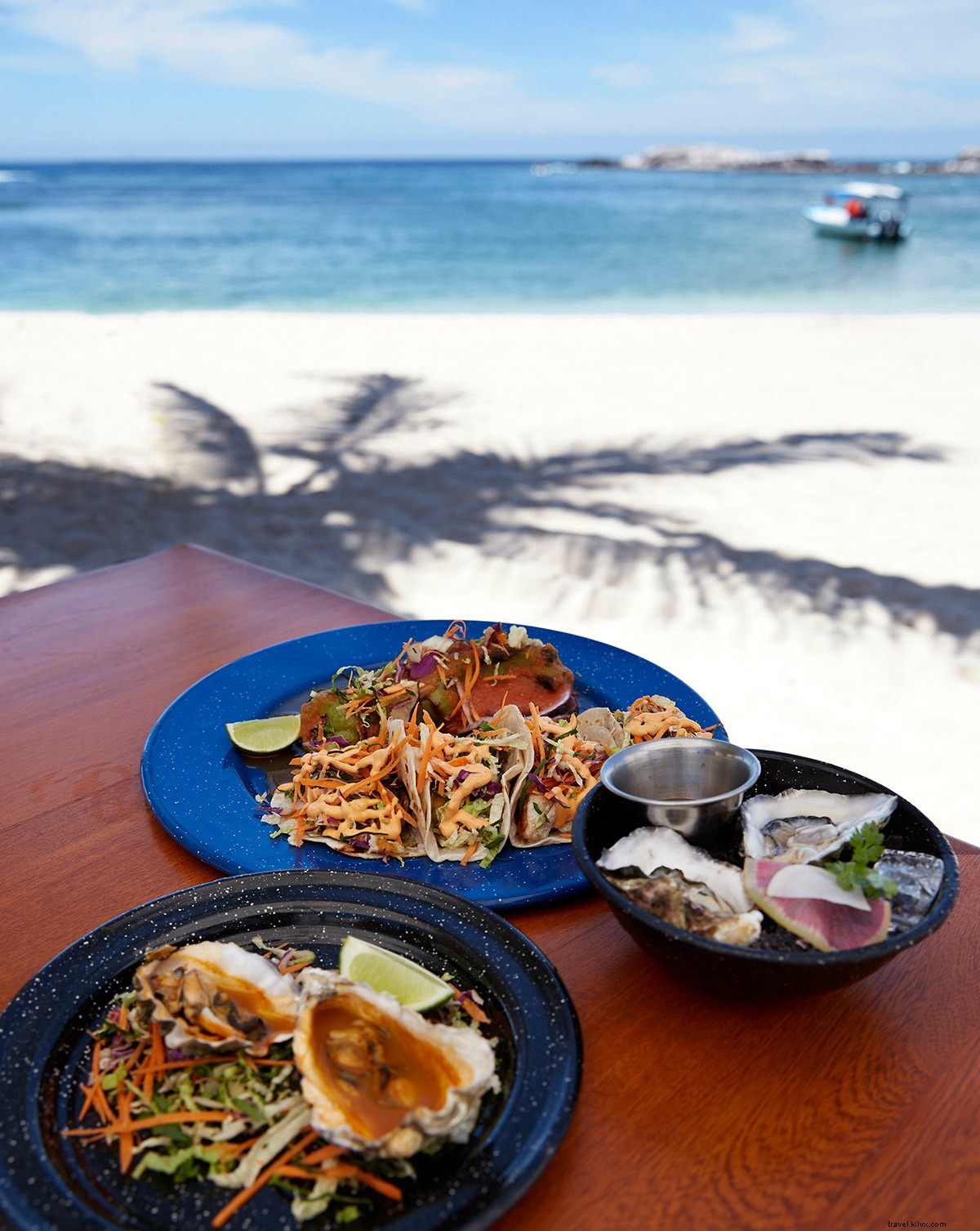 Fresh from Sea to Table: Punta Mita s Exquisite Seafood on Mexico s Pacific Coast