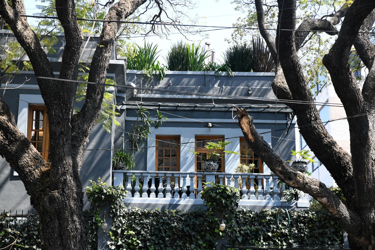 Discover Mexico City s Most Vibrant Cooking Class & Market Adventure