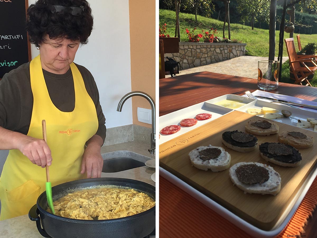Truffle Hunting with Dogs in Croatia s Istria: Unearthing Black Gold