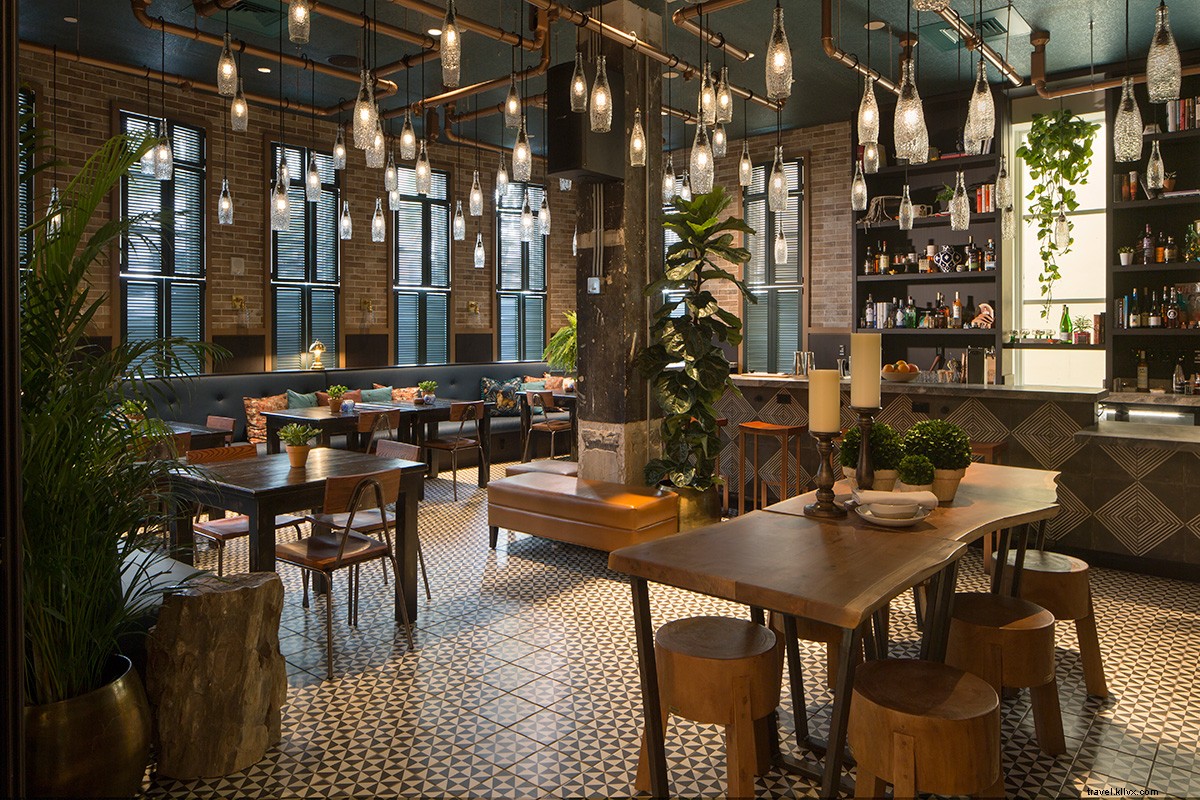 Miami s Hidden Gems: Insider Spots from the Generator Miami Team