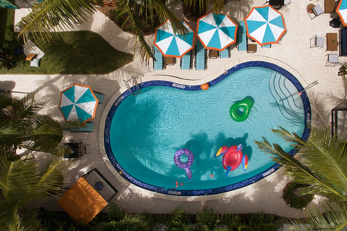 Miami s Hidden Gems: Insider Spots from the Generator Miami Team