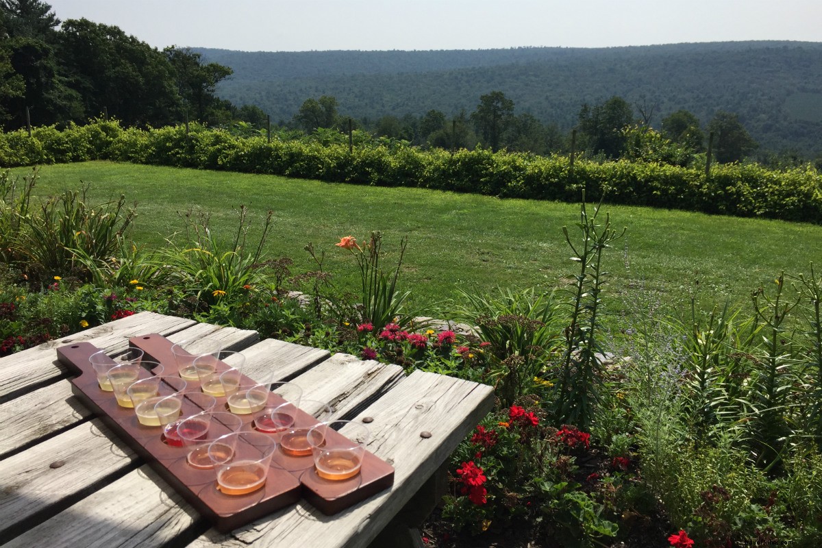 Savoring Craft Beverages: A Tour of Gettysburg s Wineries and Cideries